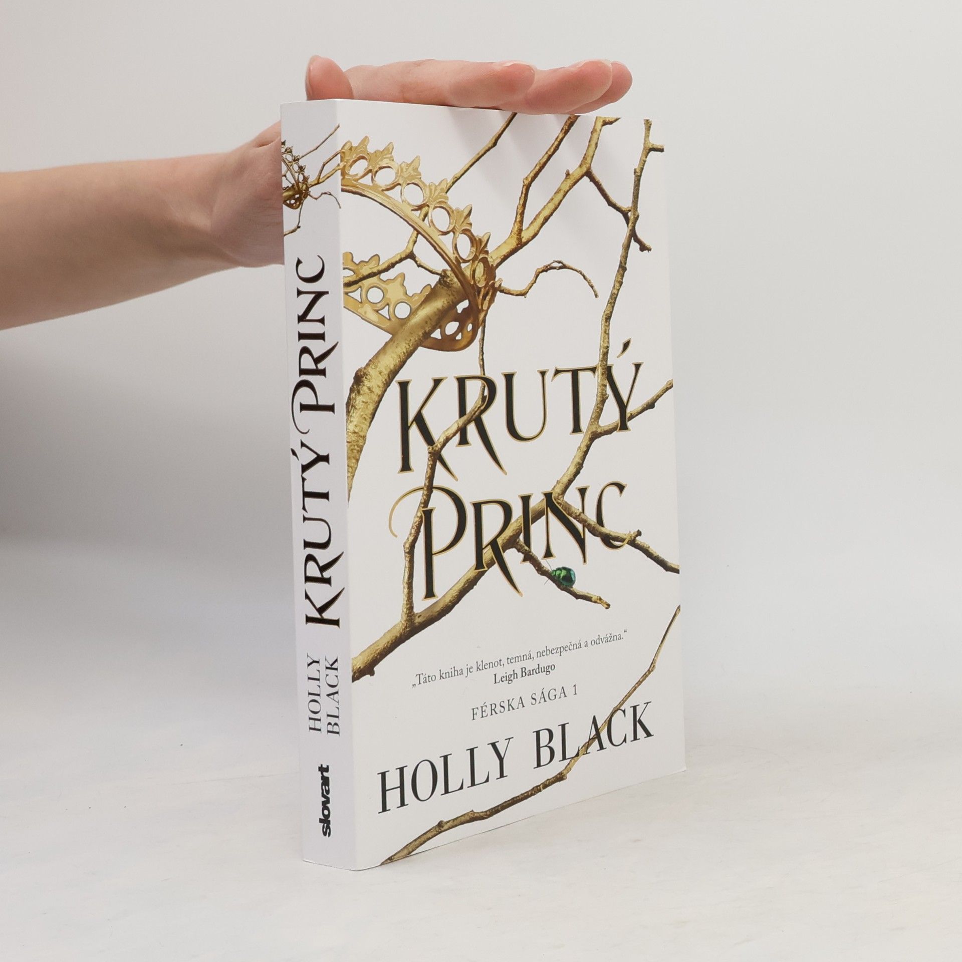 Holly Black Krutý princ