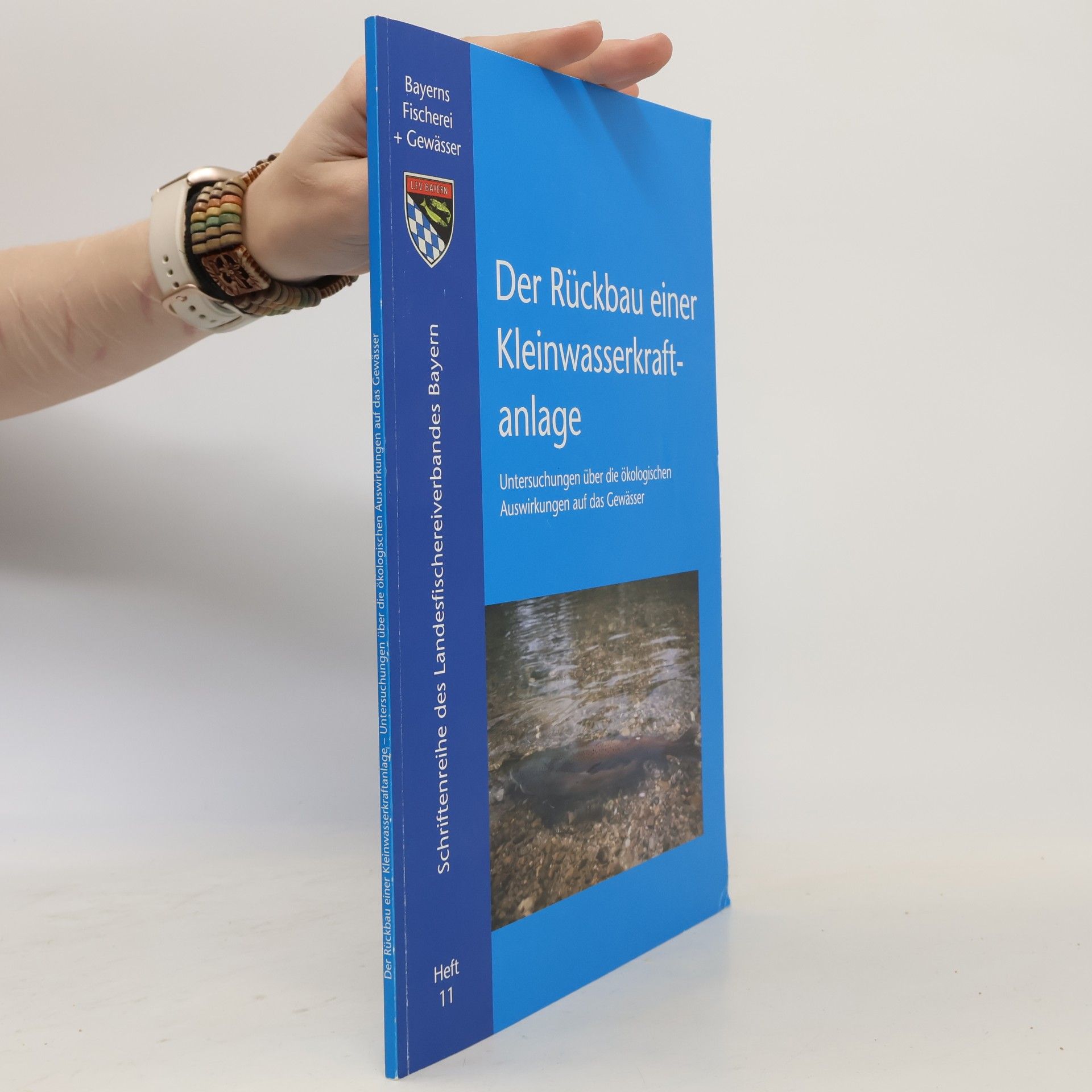 Der Rückbau einer Kleinwasserkraftanlage