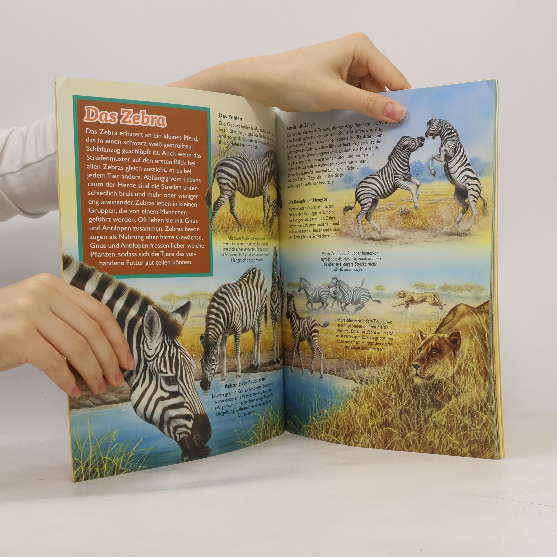 Autorenkollektiv Tiere Afrikas