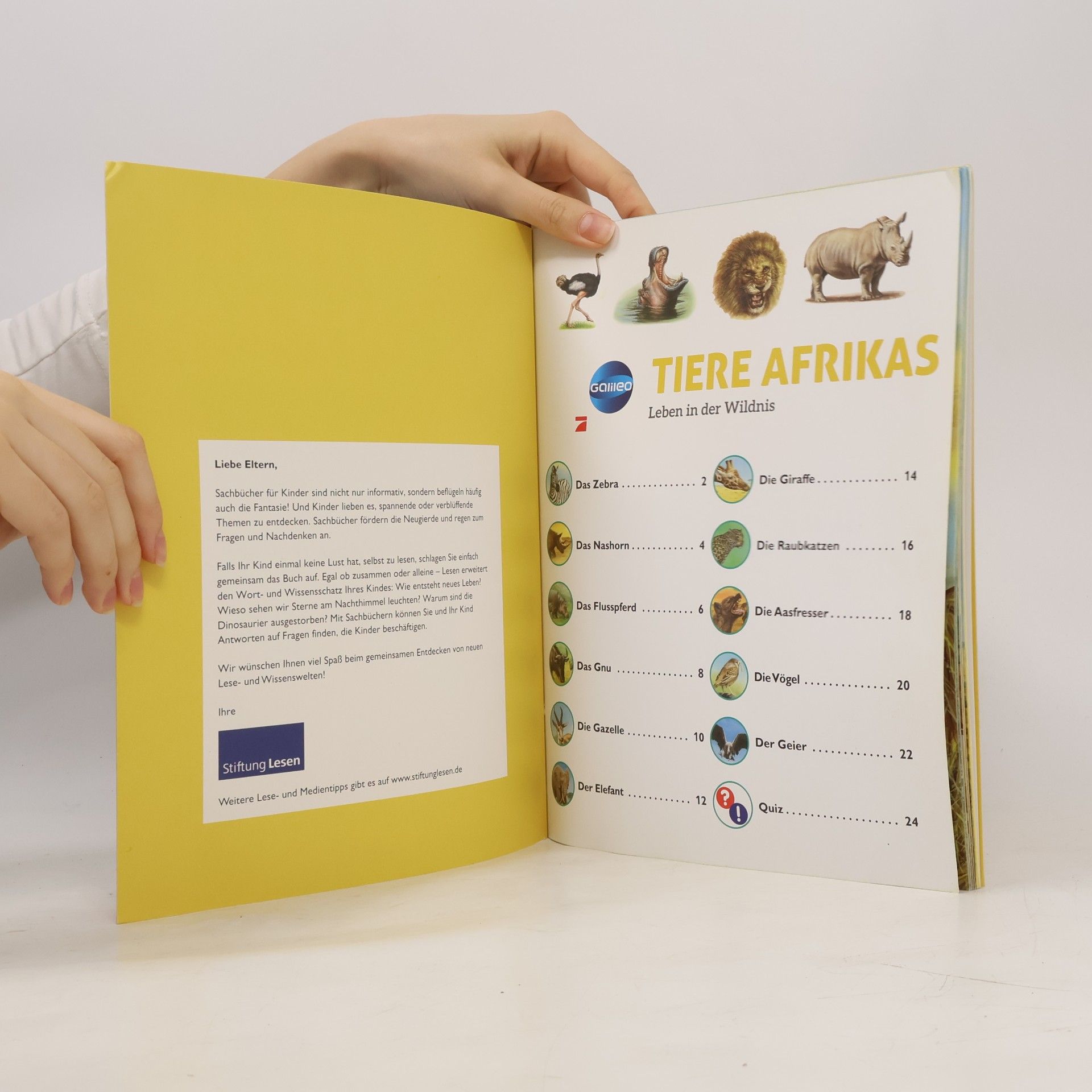 Autorenkollektiv Tiere Afrikas