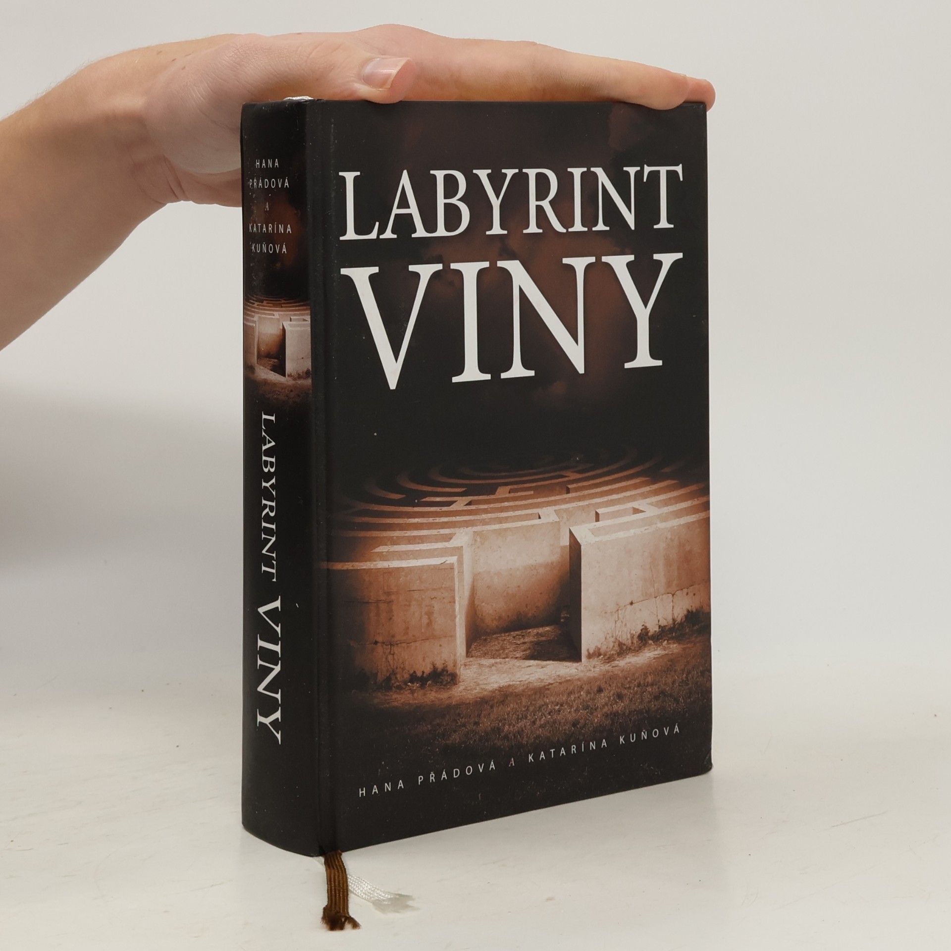 Katarína Kuňová Labyrint viny