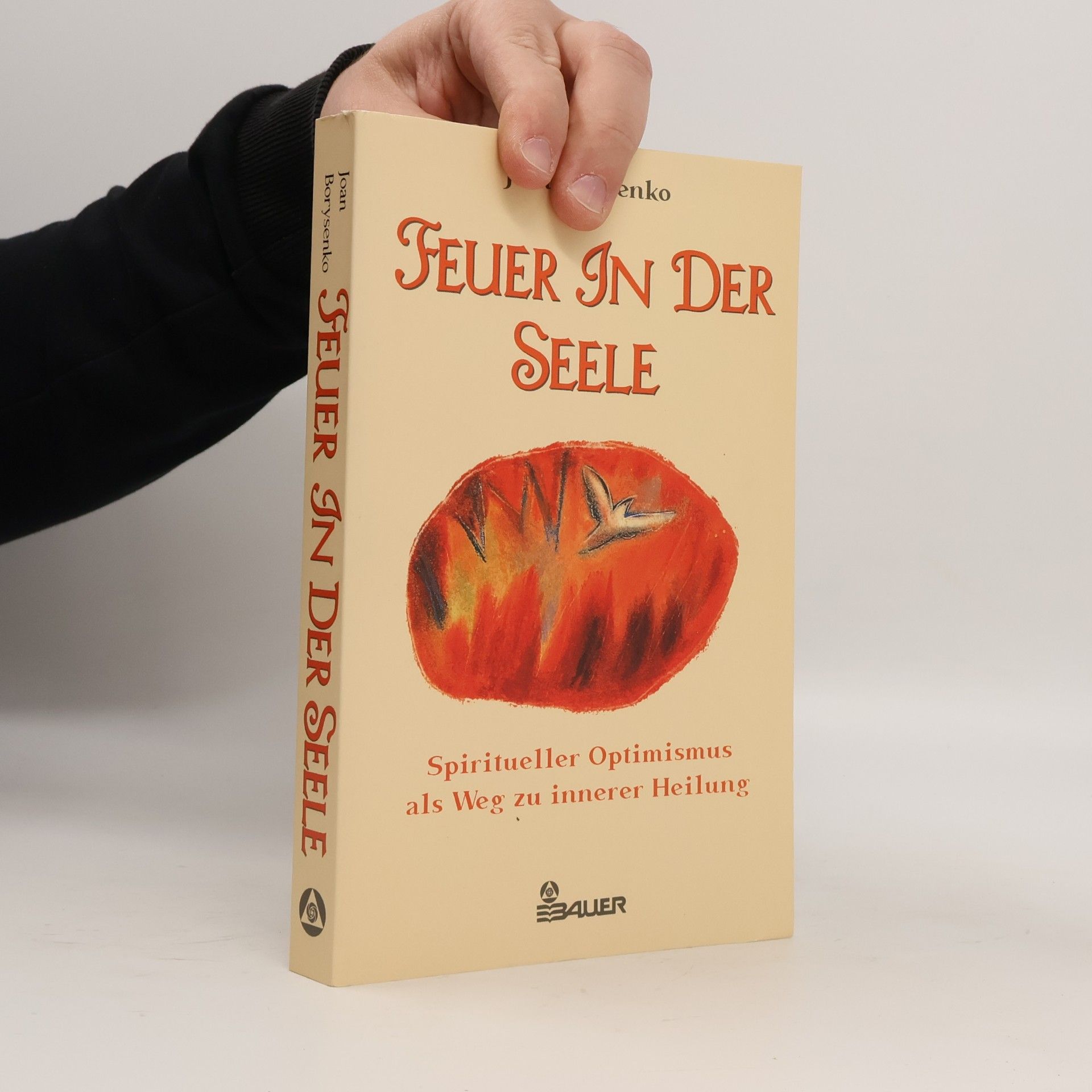 Joan Borysenko Feuer in der Seele