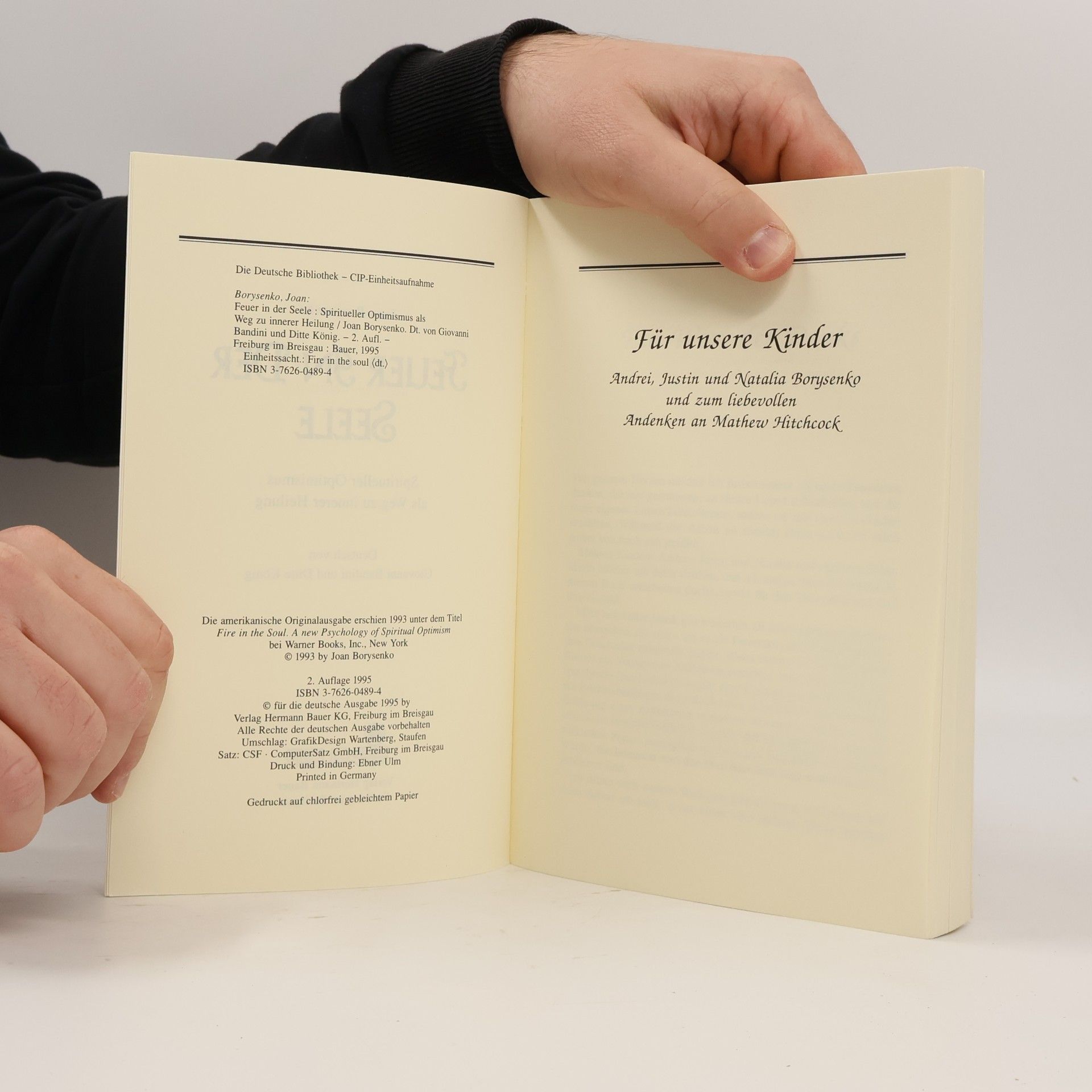Joan Borysenko Feuer in der Seele