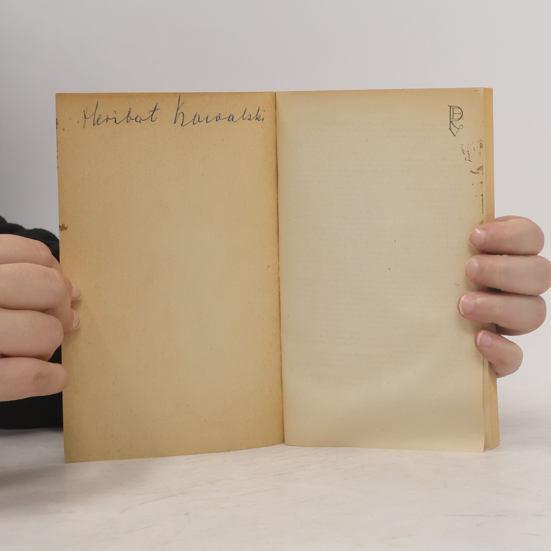 Thomas Wolfe Mein Onkel Bascom. Das Geweb aus Erde
