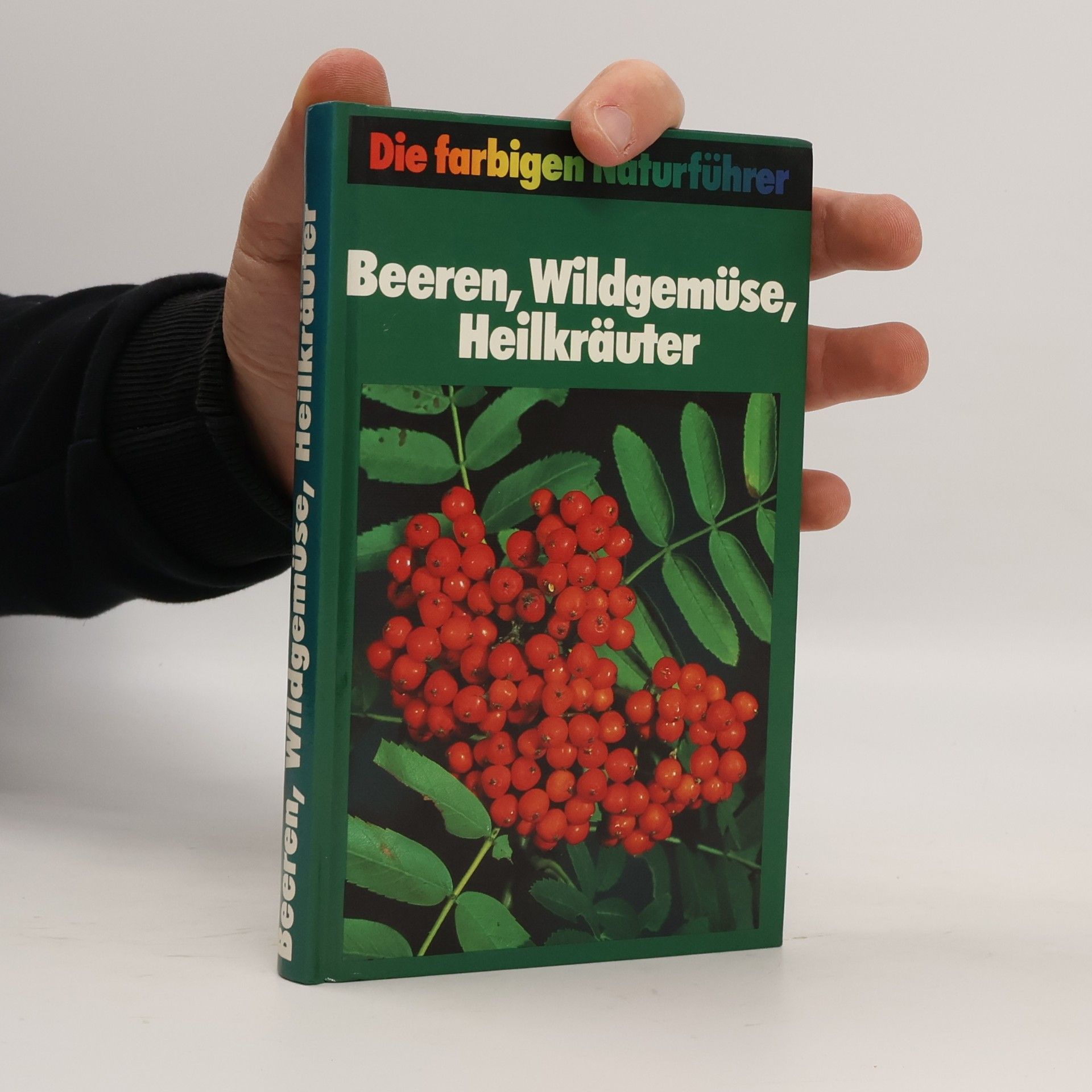 Kolektiv autorů Beeren, Wildgemüse, Heilkräuter