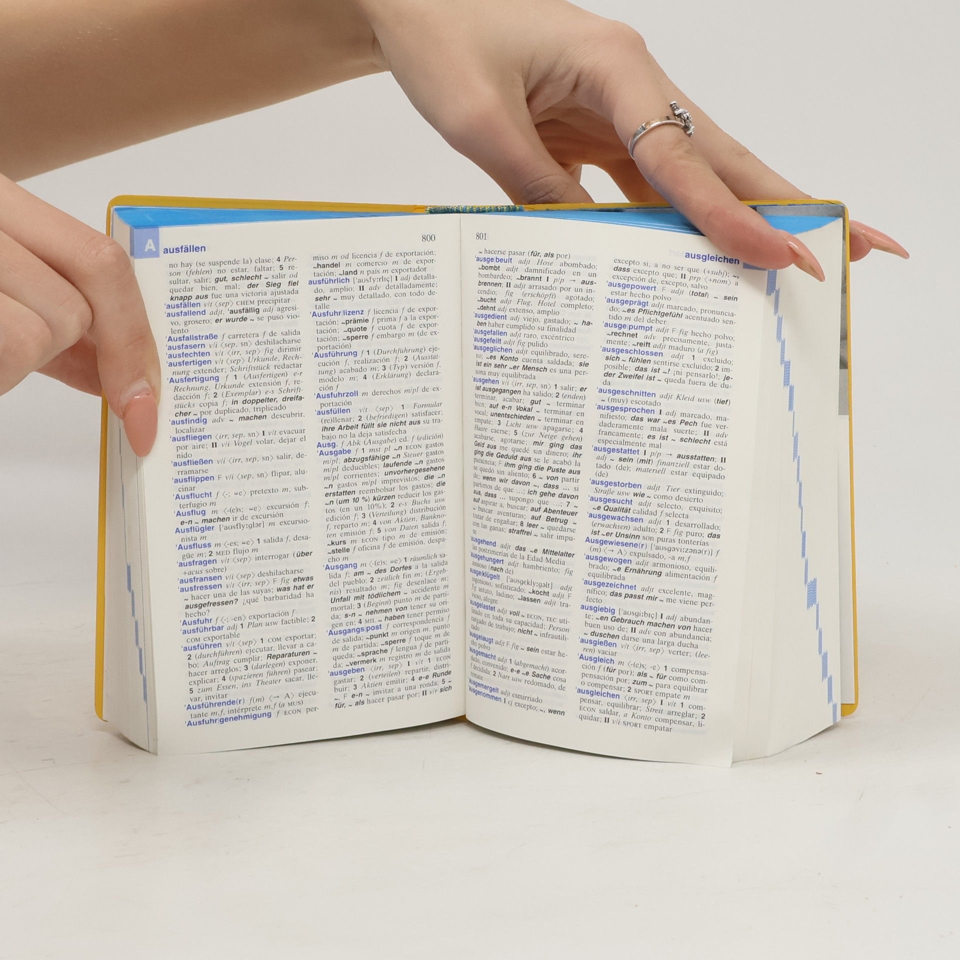 Barbara Epple Langenscheidt Taschenwörterbuch Spanisch