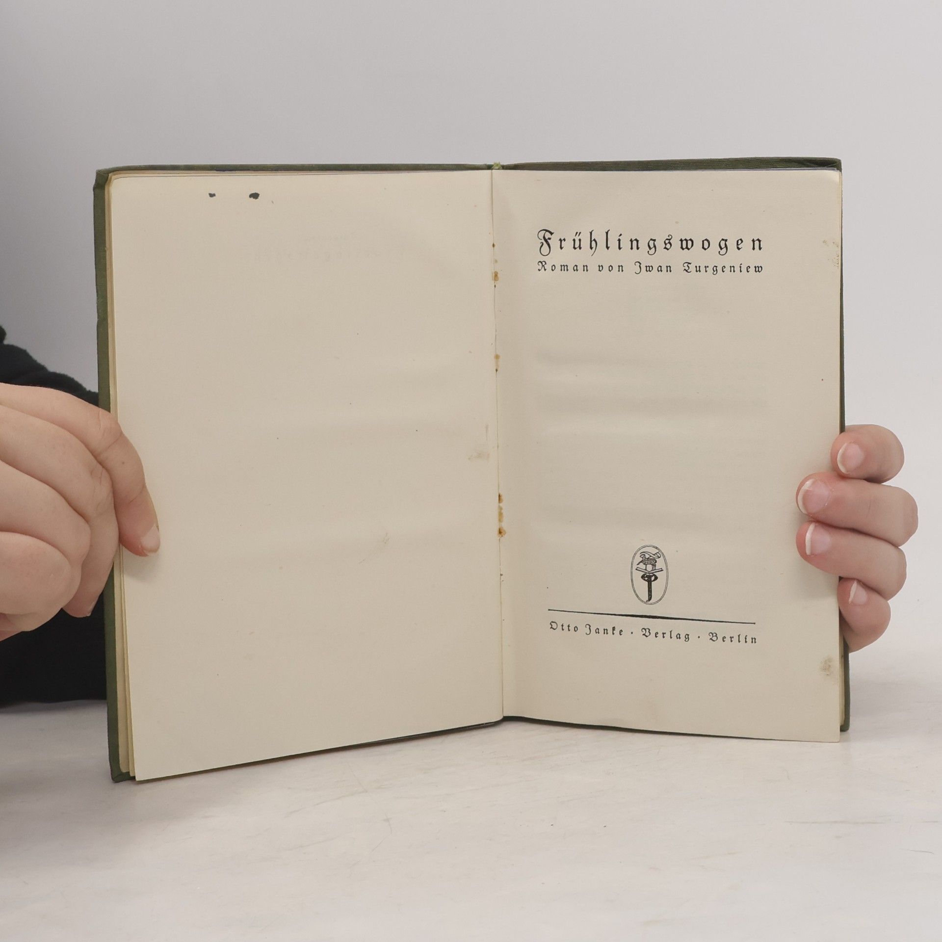 Iwan Sergejewitsch Turgenew Frühlingswogen