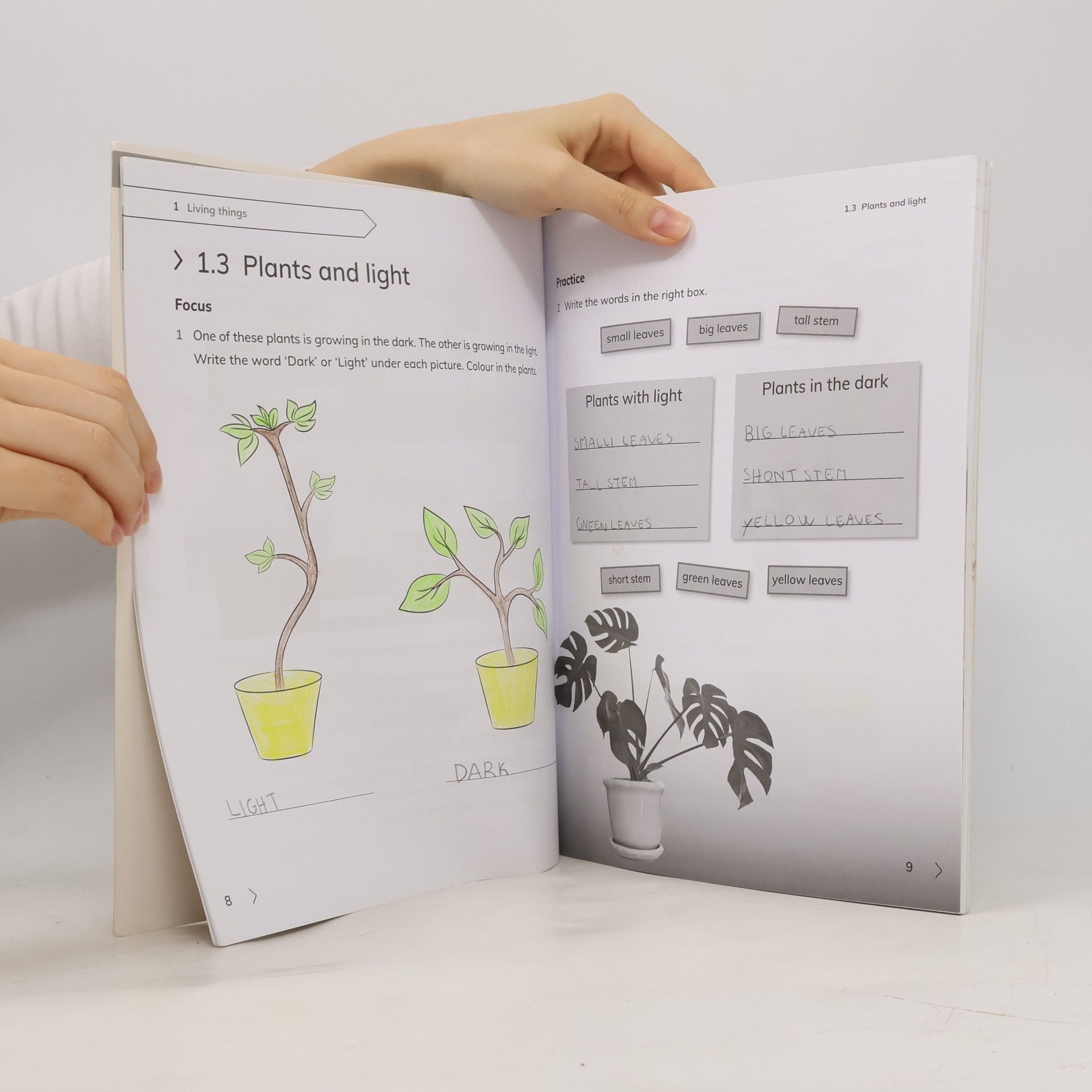 Jon Board Cambridge Primary Science Workbook 1 With Digital Access (1 Year) - Second Edition