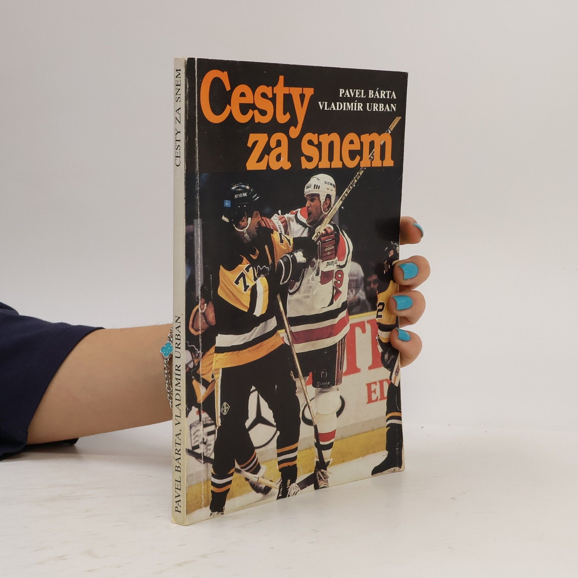 Cesty za snem