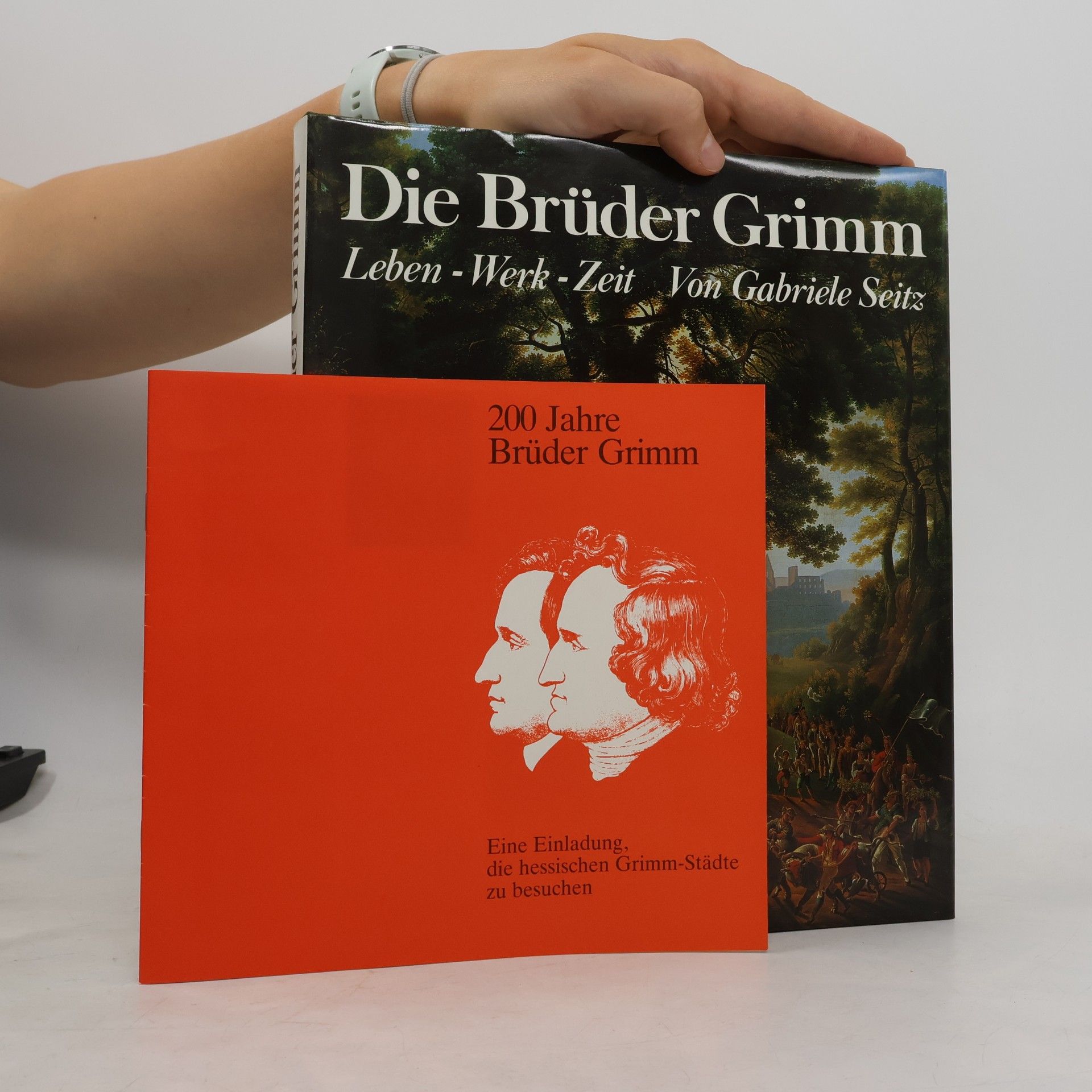 Gabriele Seitz Die Brüder Grimm