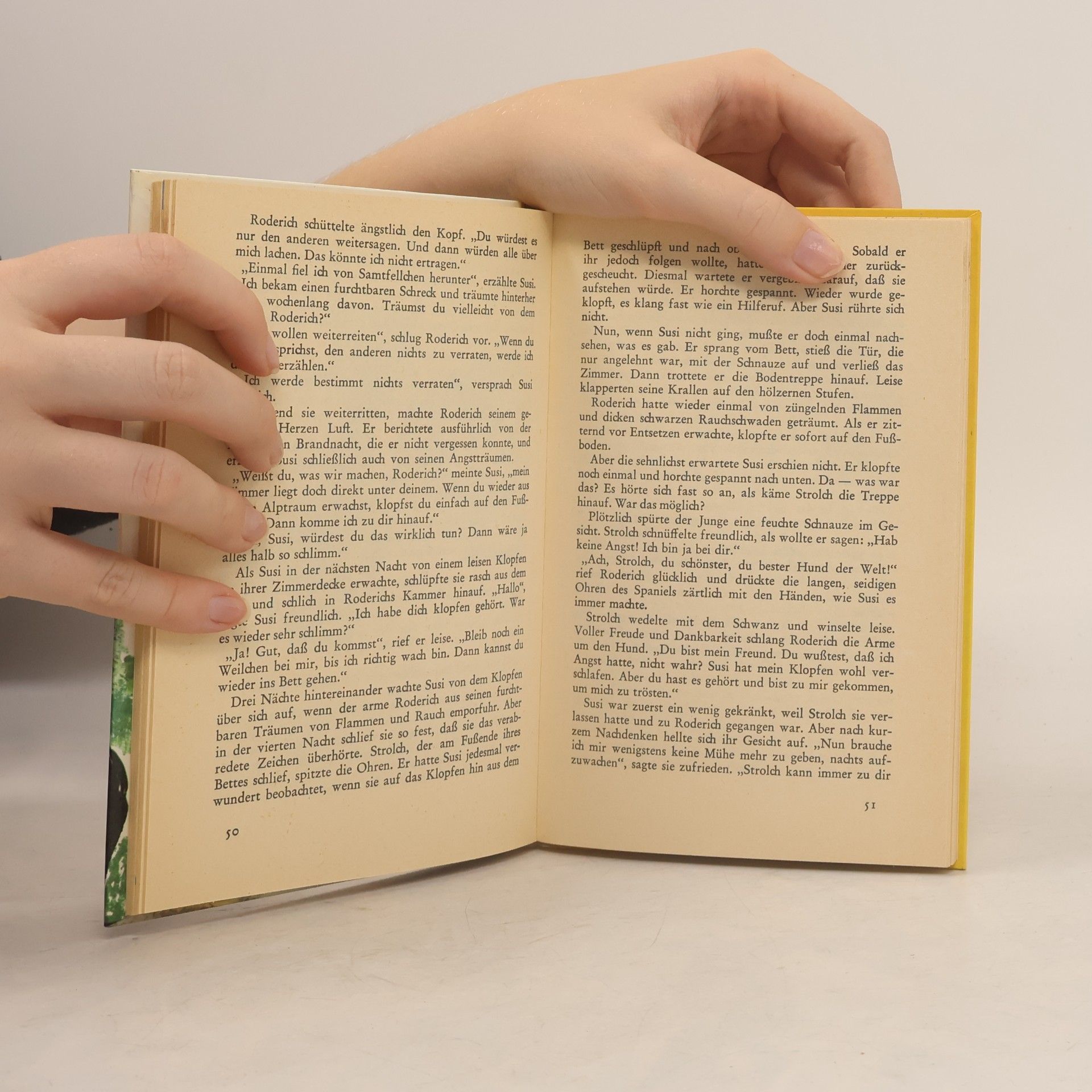 Enid Blyton Familie Langfeld