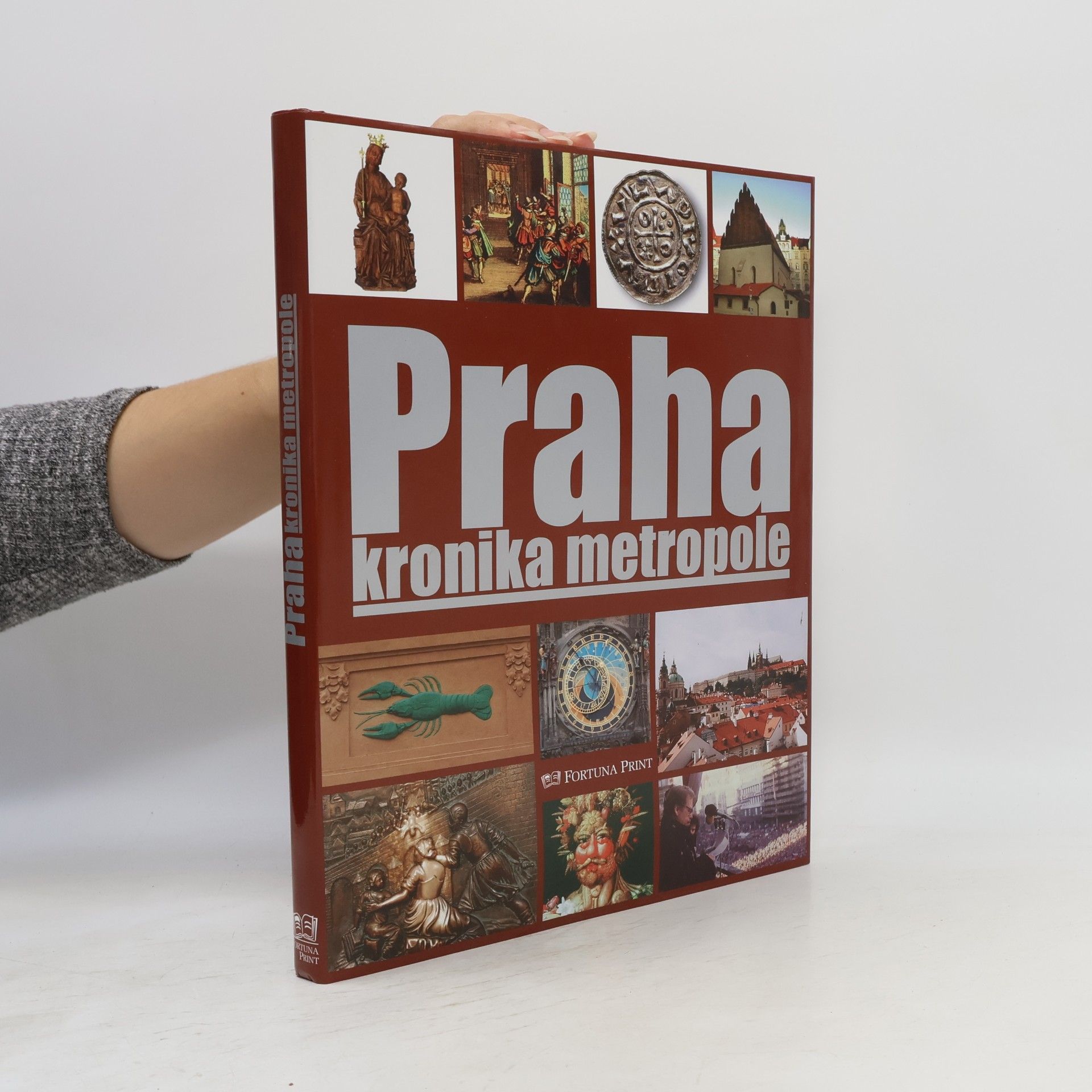 Pavel Bělina Praha : kronika metropole