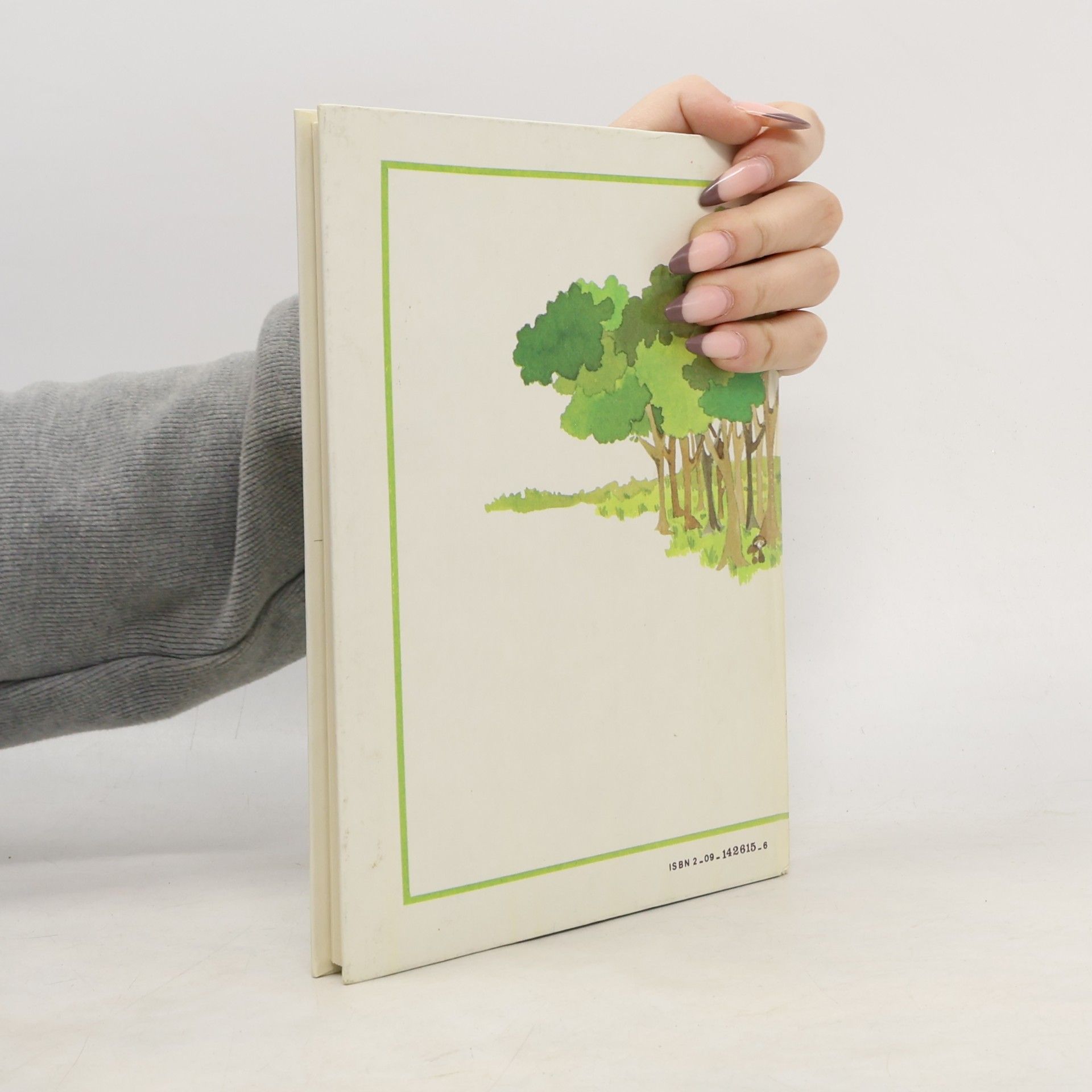 Vincent Pernice CP/CE1: La Ronde des Mots