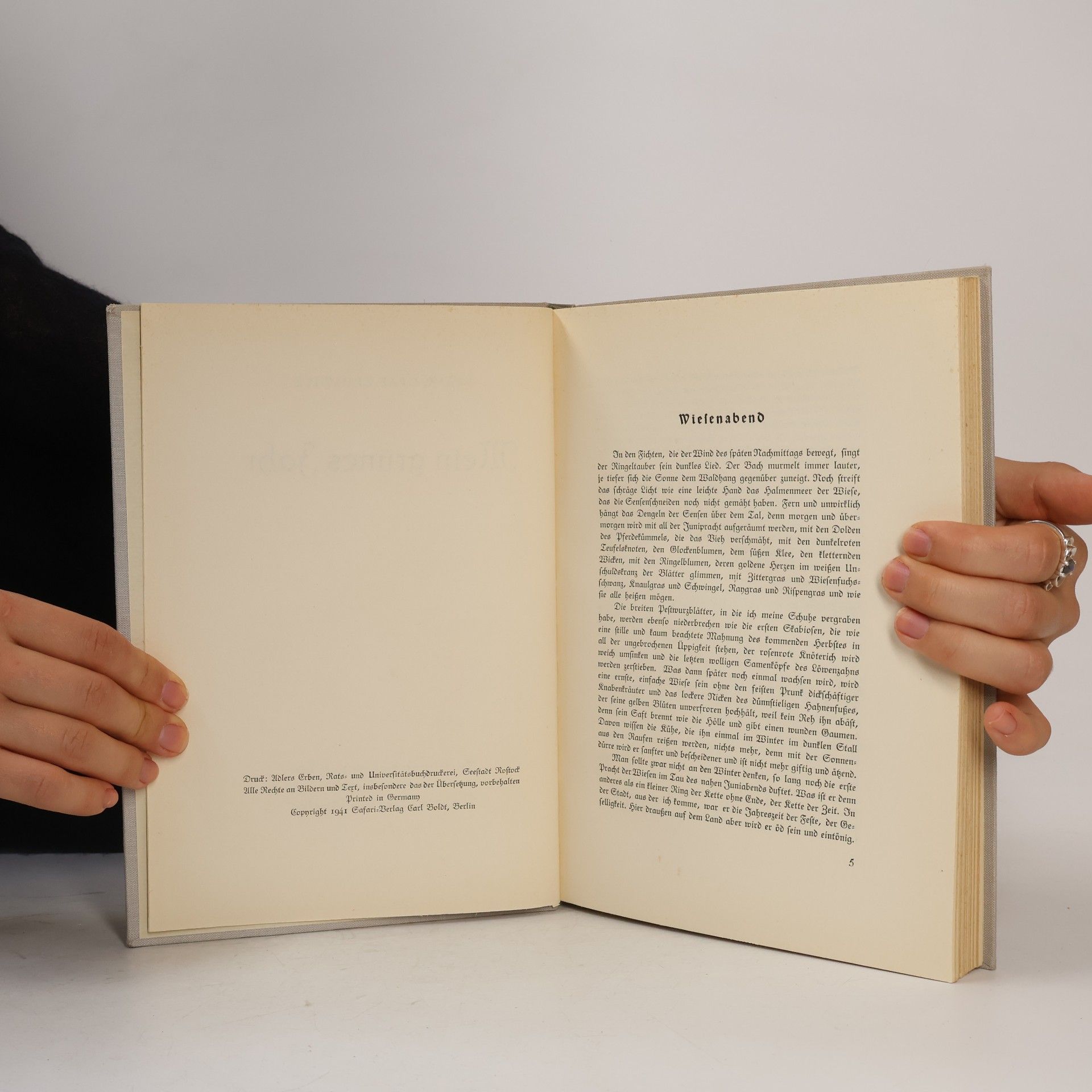 Franz Xaver Graf Zedtwitz Mein grünes Jahr