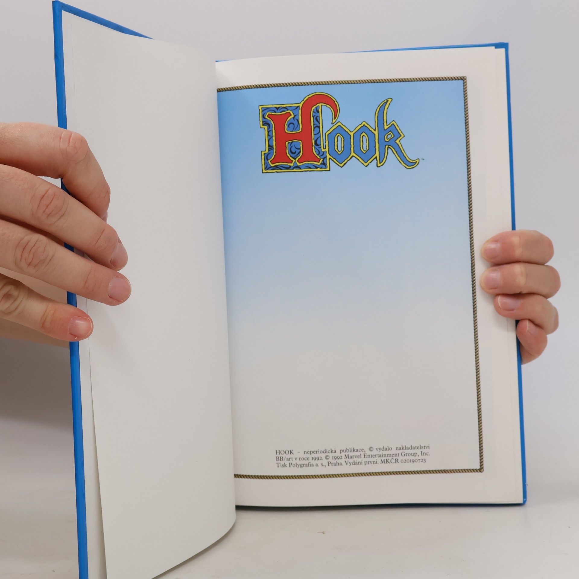 Autorenkollektiv Hook
