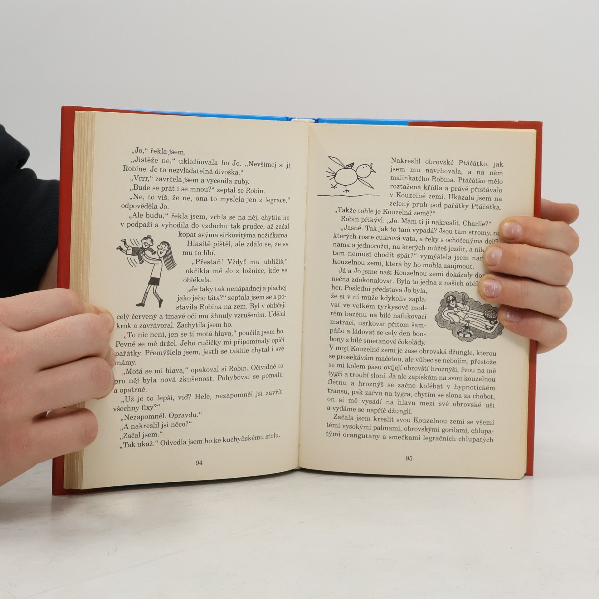 Jacqueline Wilson Projekt Loty
