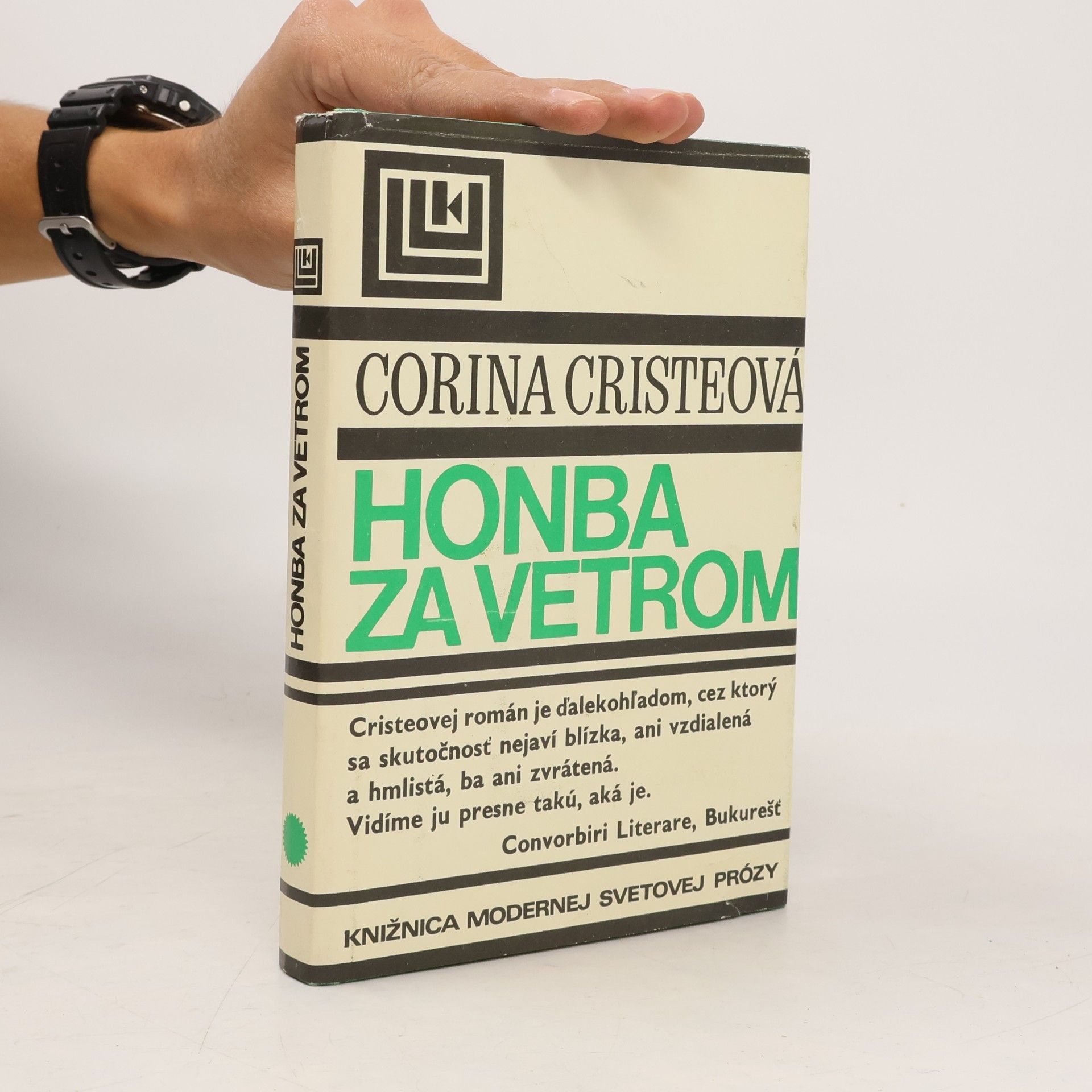 Corina Cristea Honba za vetrom
