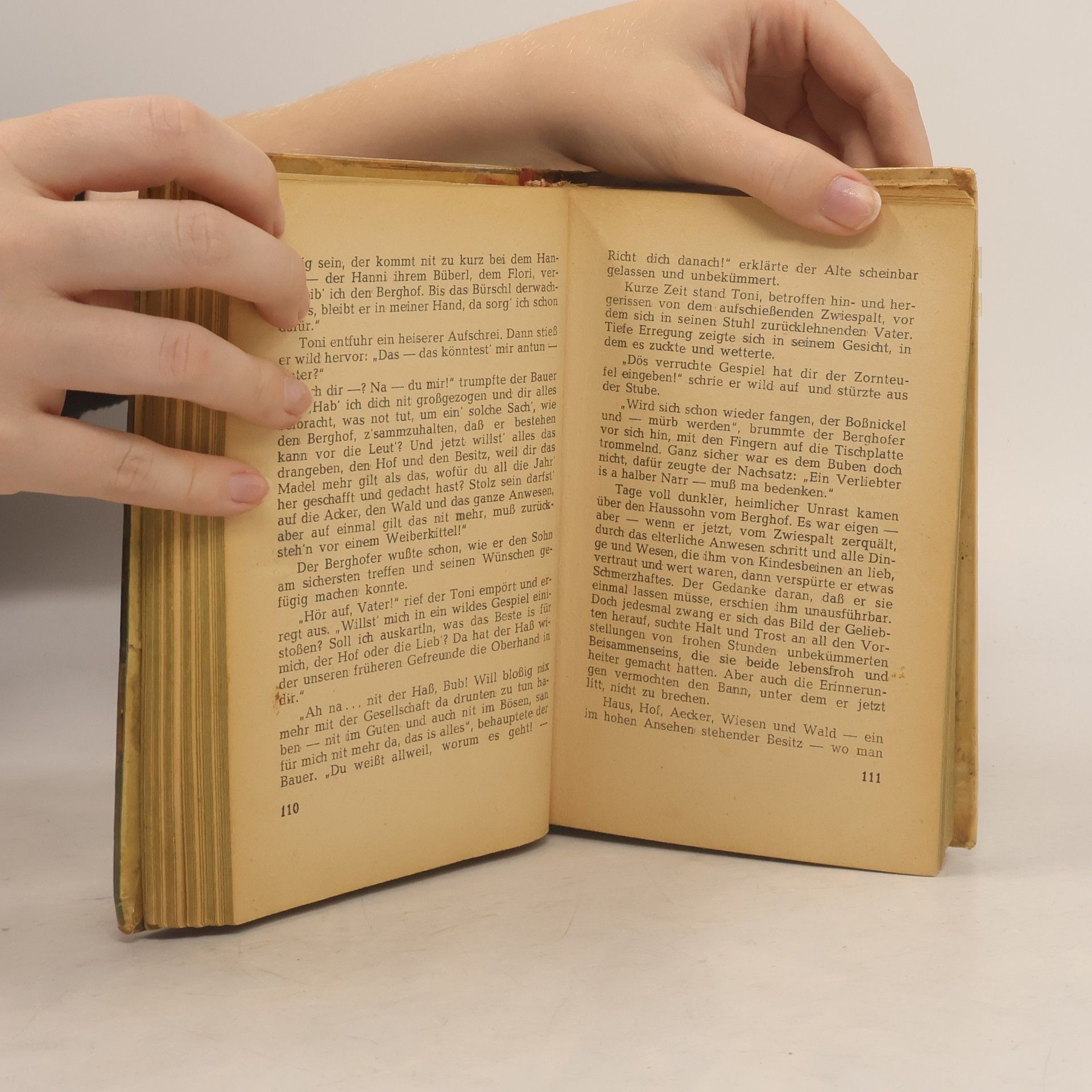 Fritz Daum Bergmenschen zwischen Hass und Liebe