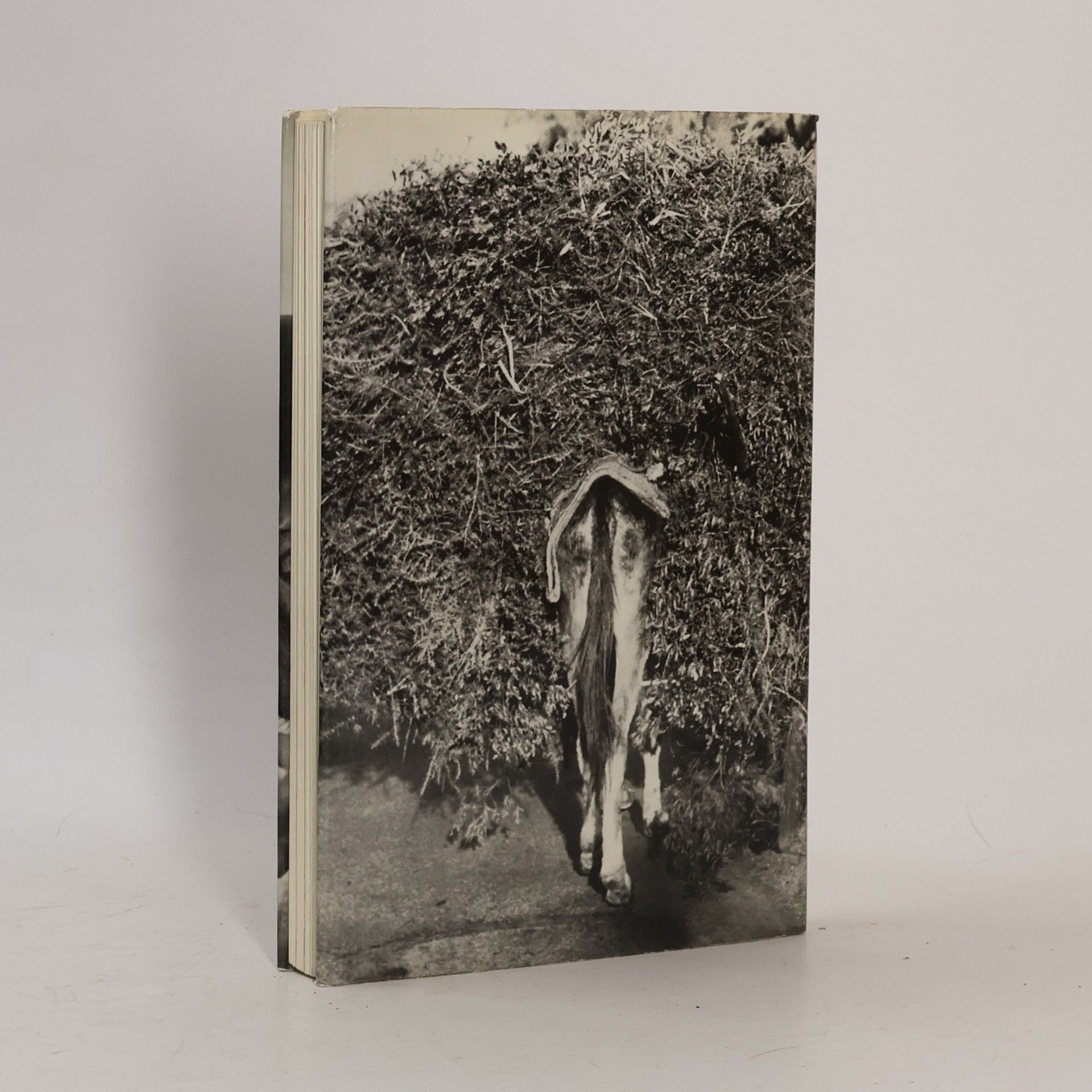 Alois Fink In Portugal