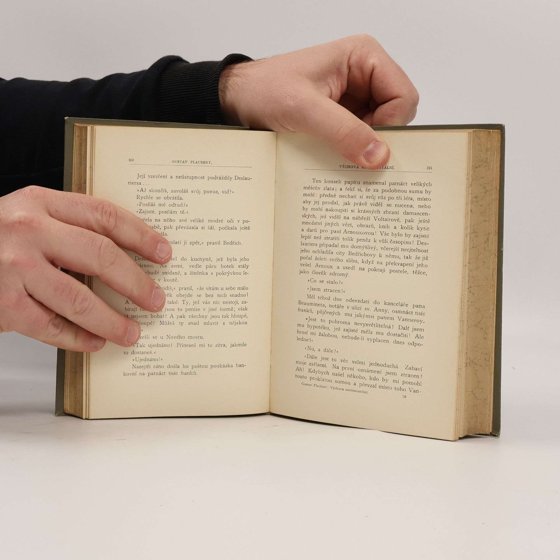 Gustave Flaubert Výchova sentimentální 1