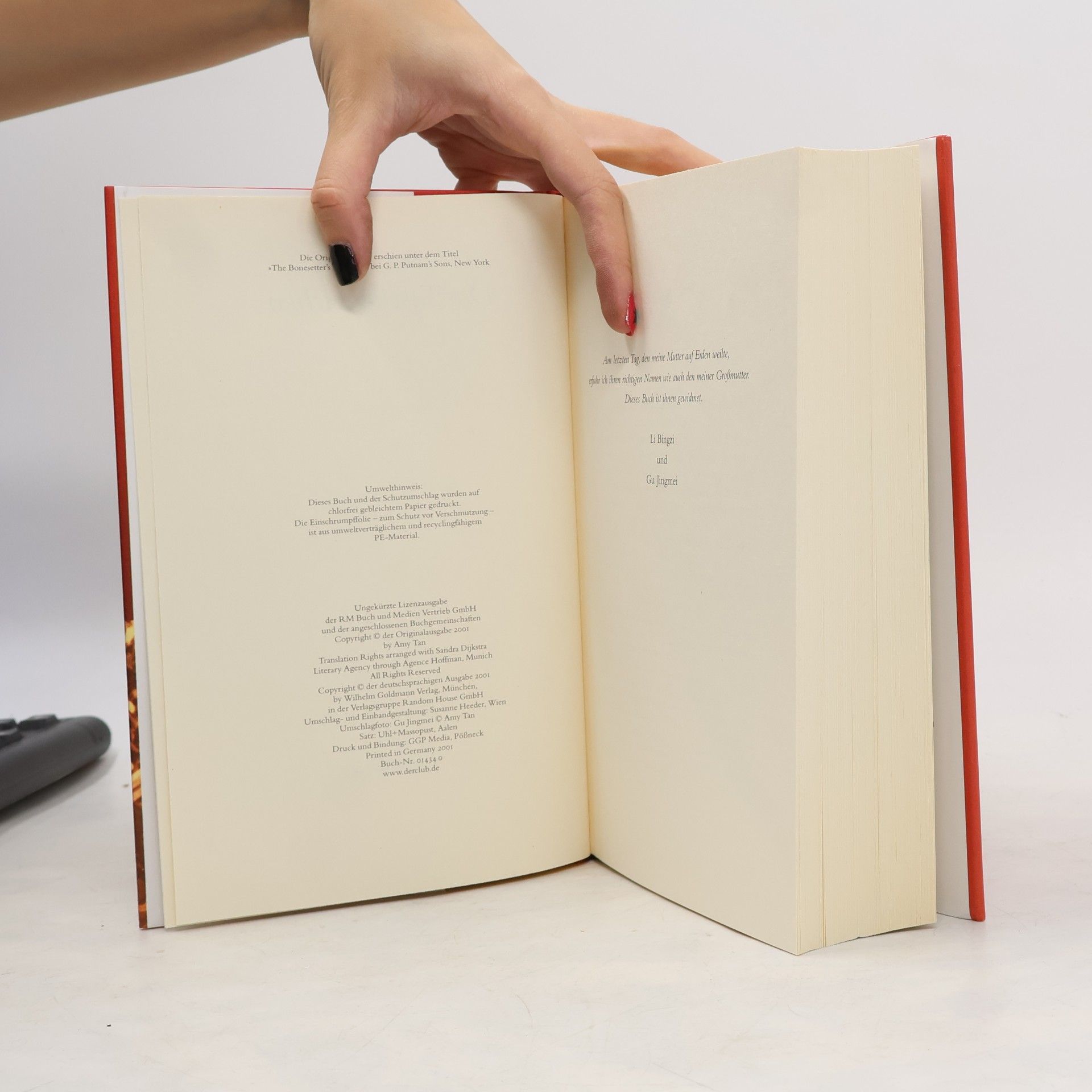 Amy Tan Das Tuschezeichen