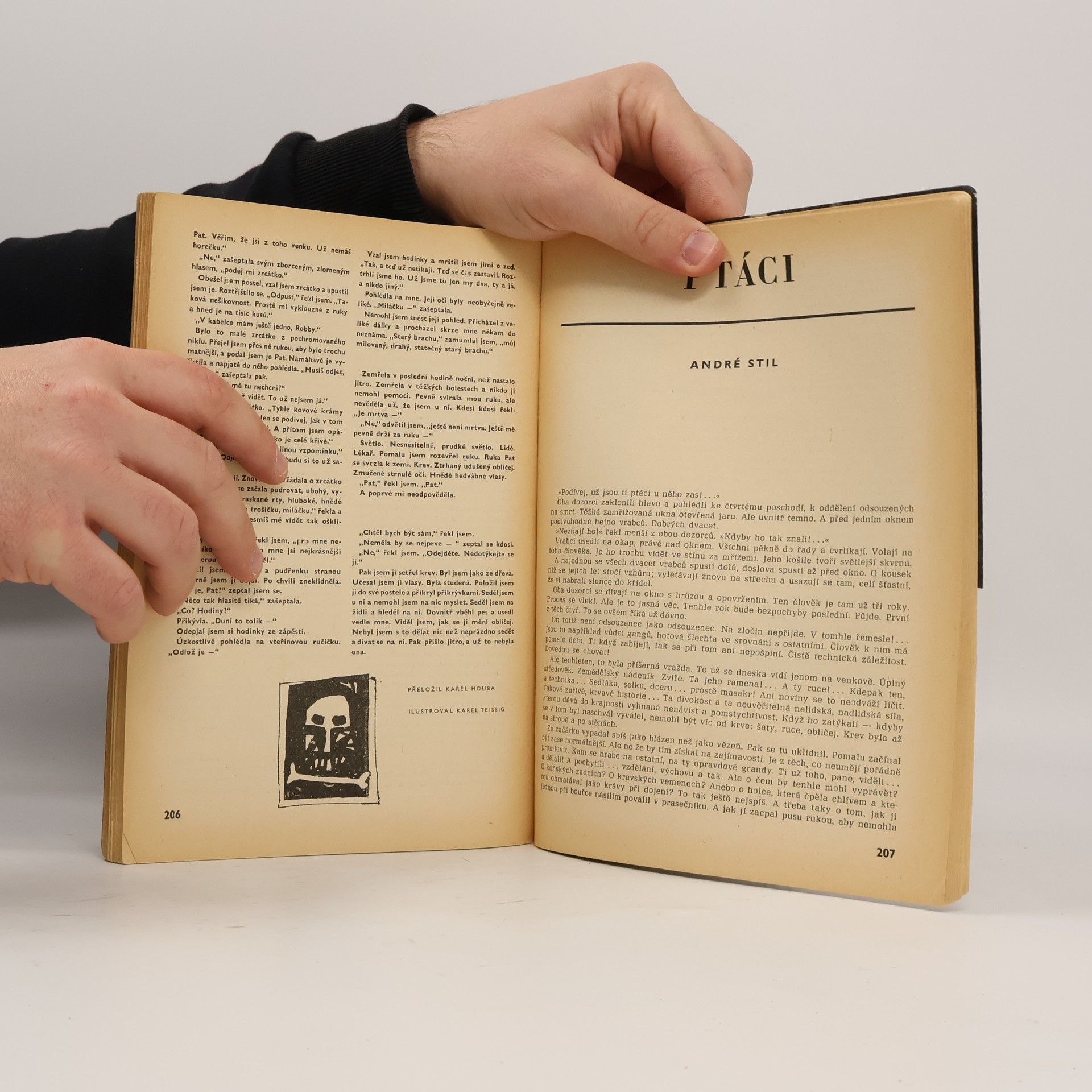 Aloys Skoumal Světová literatura
