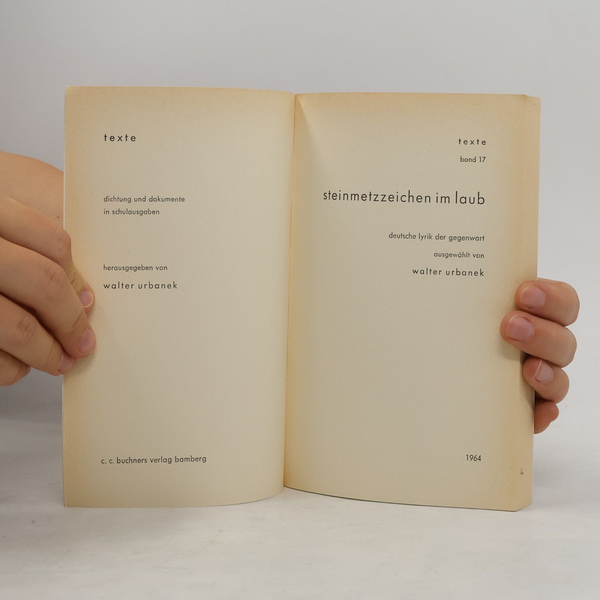 Collectif d'auteurs Steinmetzzeichen im Laub
