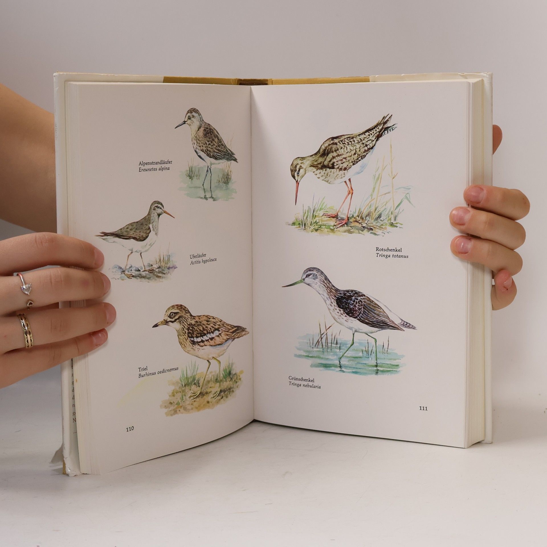 Various authors Geschützte Natur