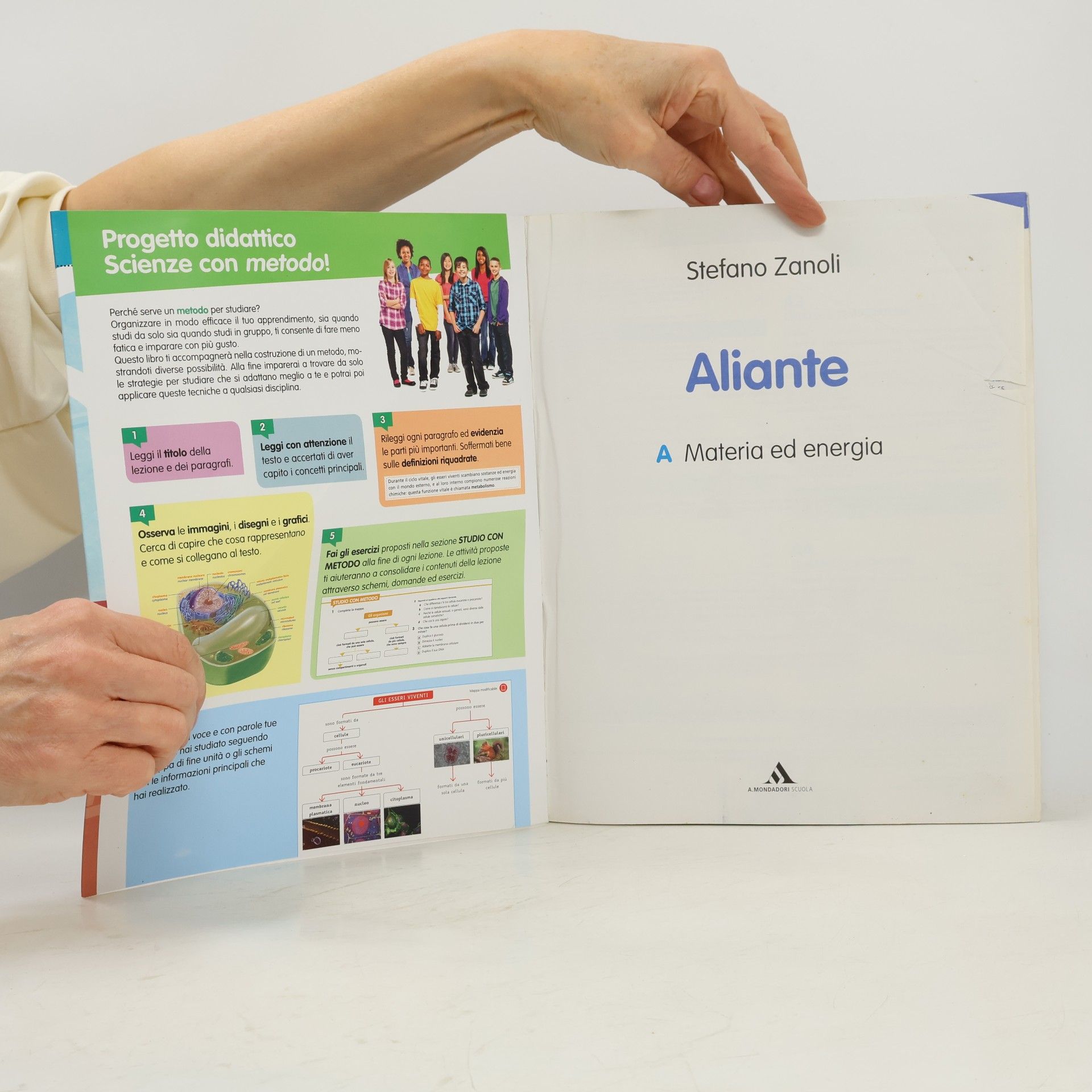 Stefano Zanoli Aliante Il volo della Scienza A