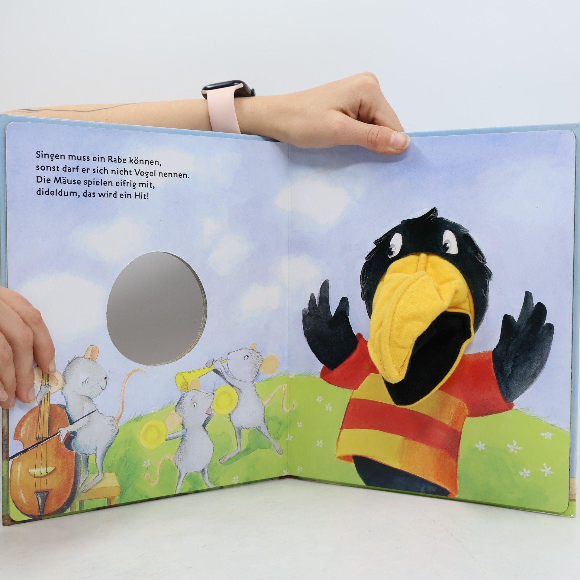 Katja Jäger Mein Handpuppenbuch - Robin, der Rabe