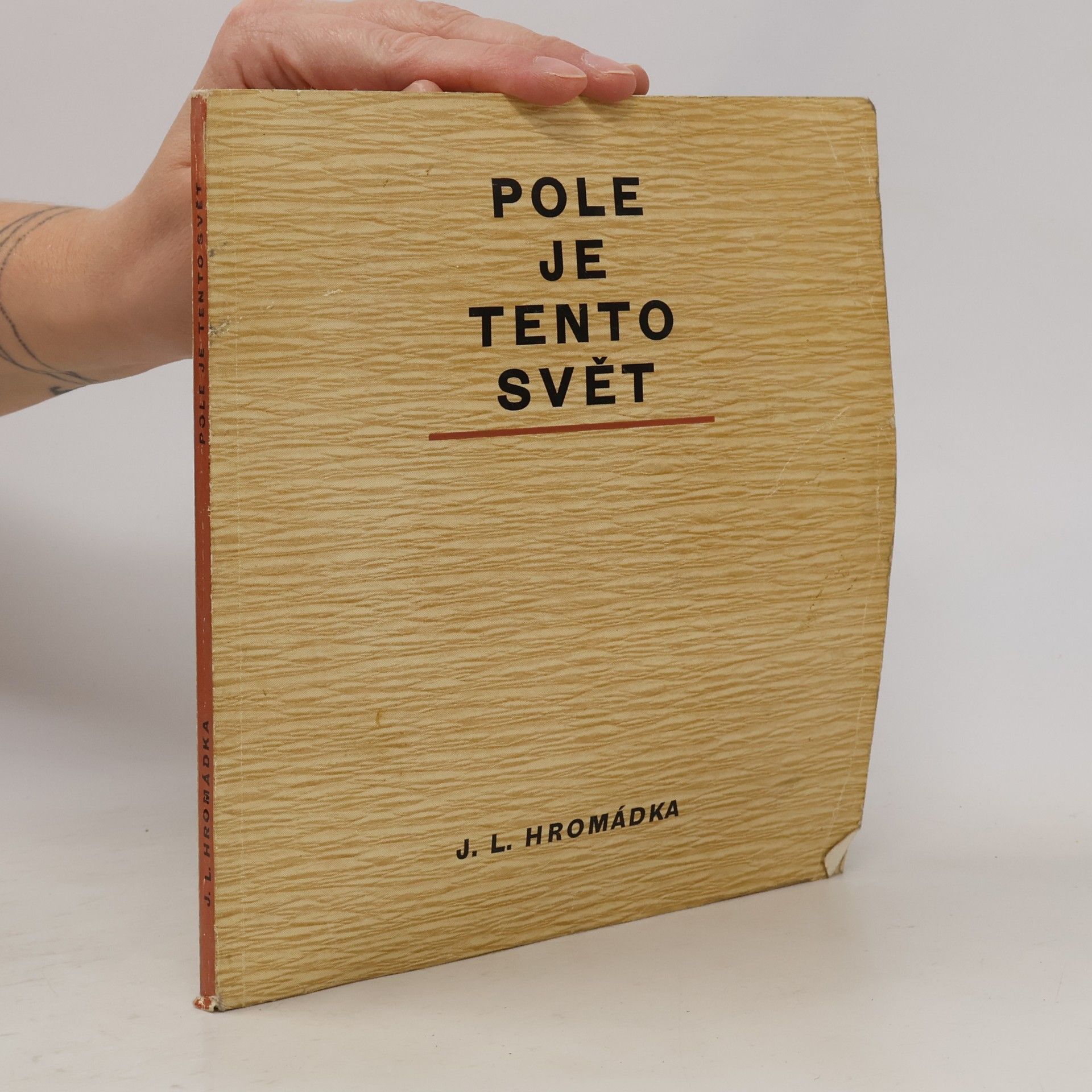 Josef Lukl Hromádka Pole je tento svět
