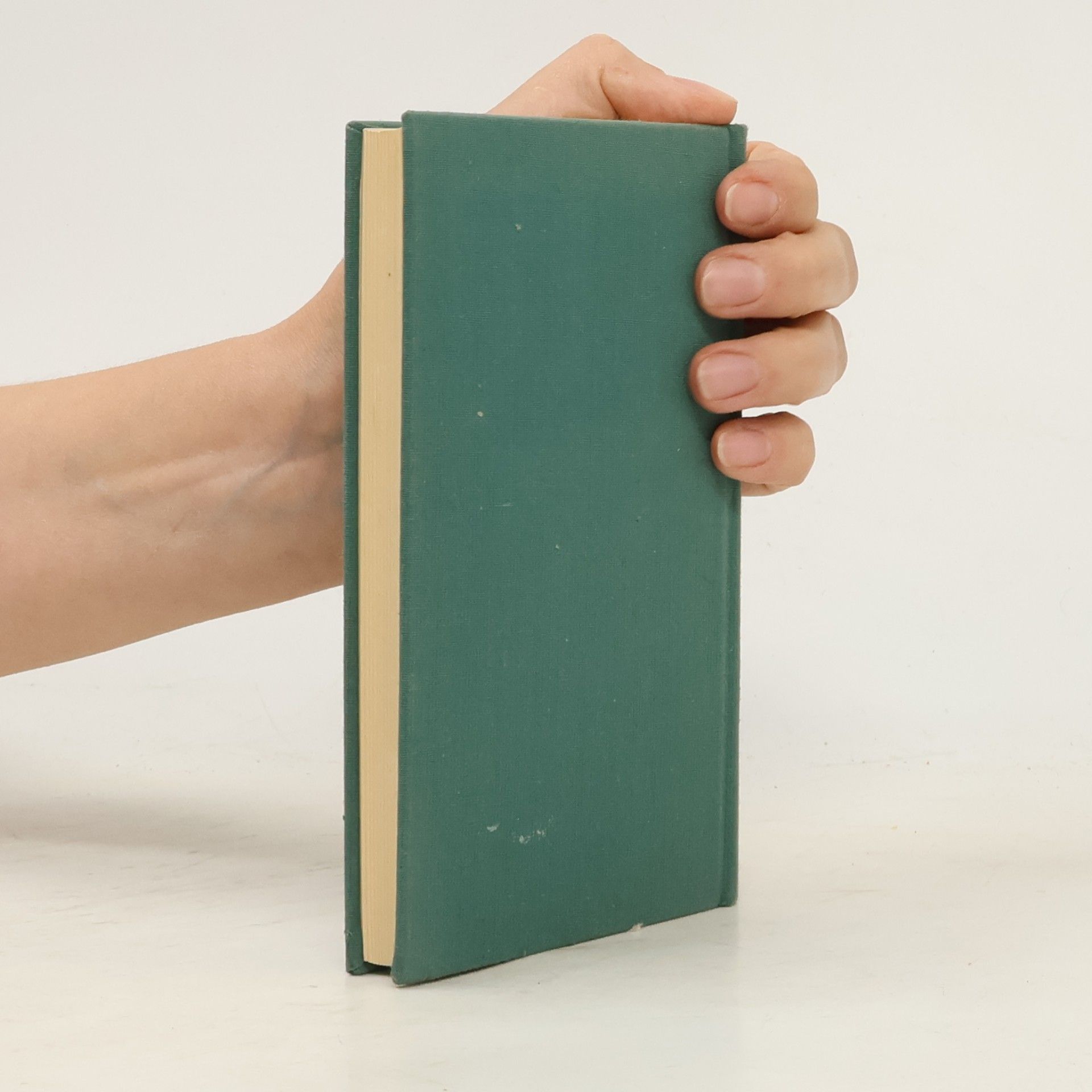 László Fábián Wenn Schubert ein Tagebuch geführt hätte