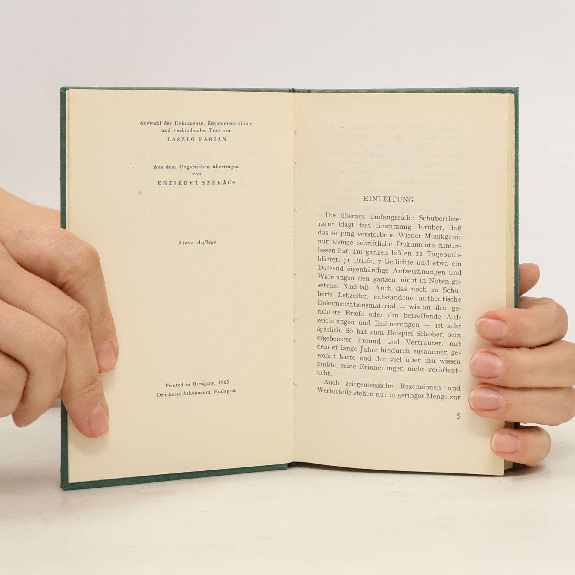 László Fábián Wenn Schubert ein Tagebuch geführt hätte