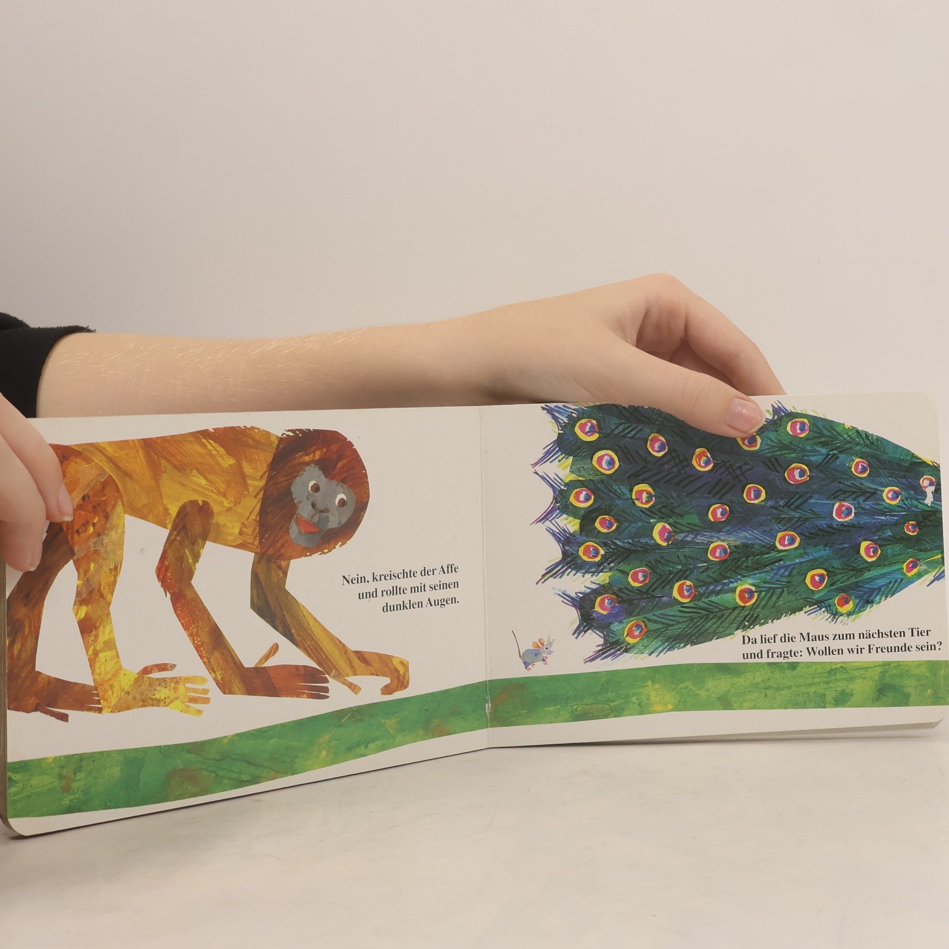 Eric Carle Die kleine Maus sucht einen Freund