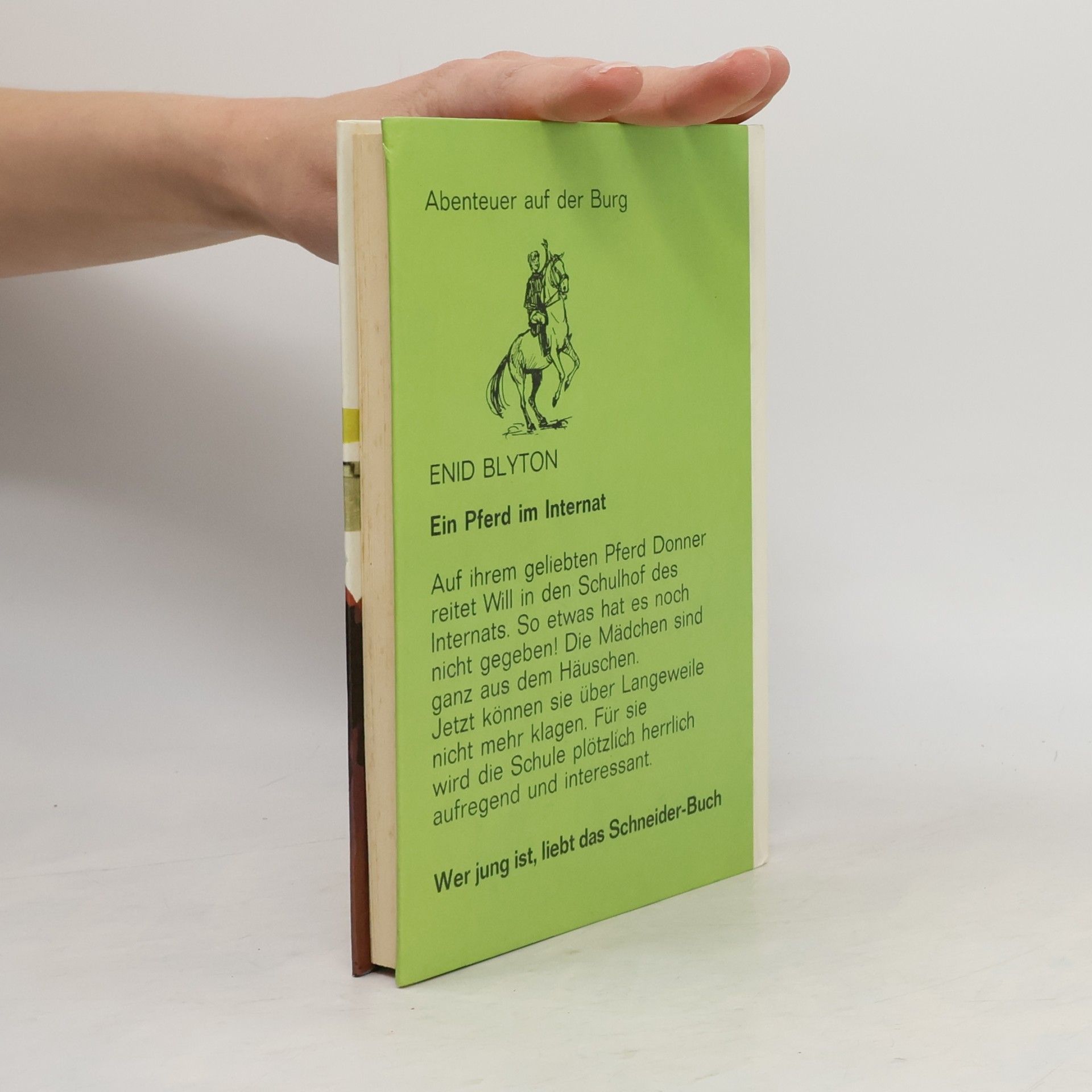 Enid Blyton Ein Pferd im Internat