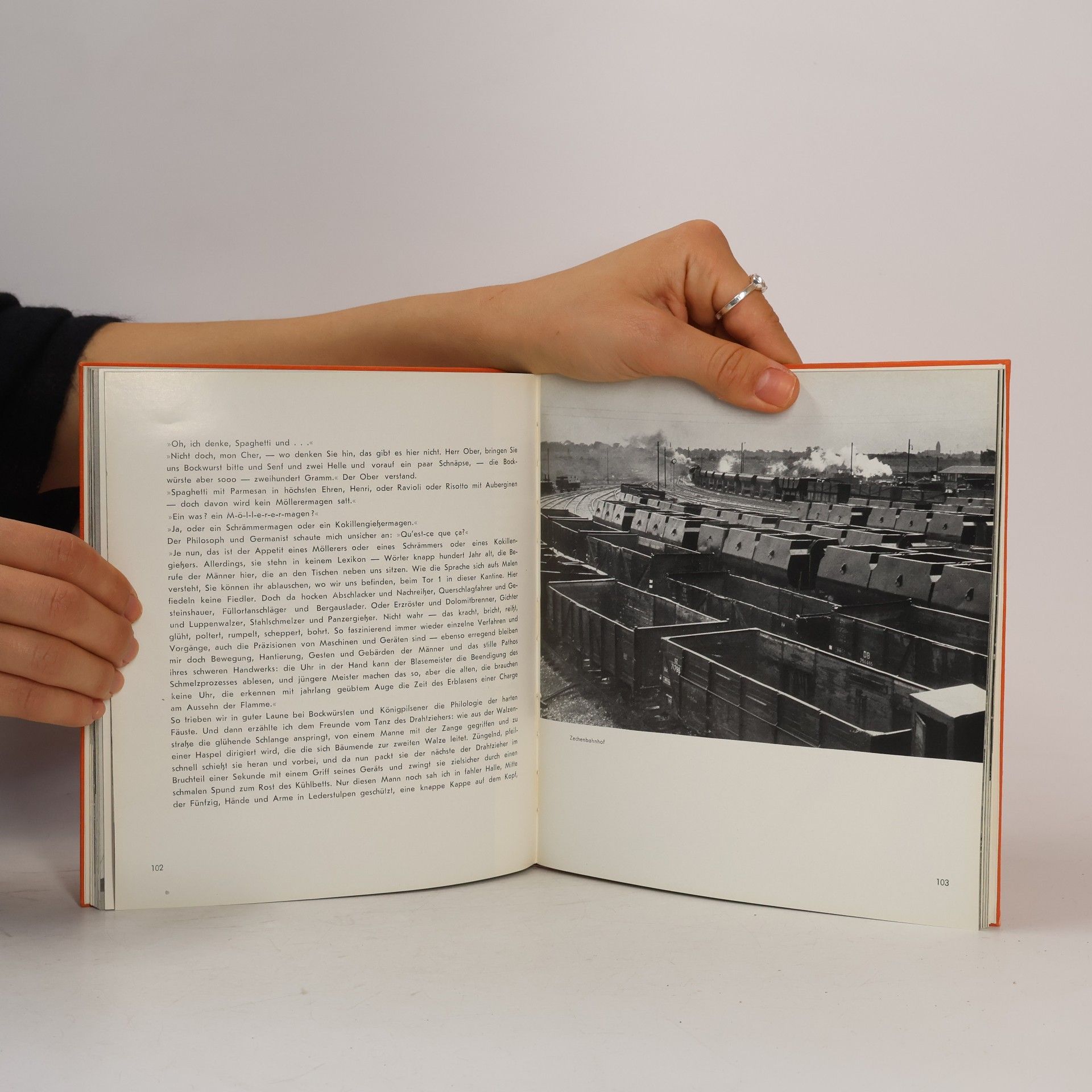 Carl Rothe Die Stadt Montan