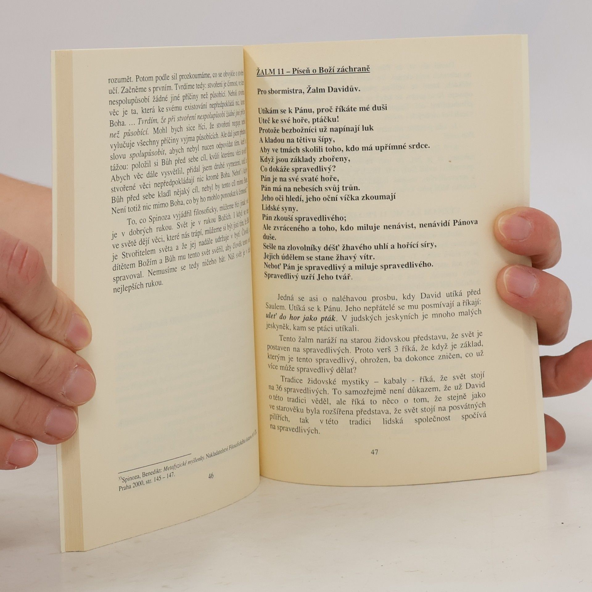 Josef Blaha Úvod do Knihy žalmů v zrcadle poesie