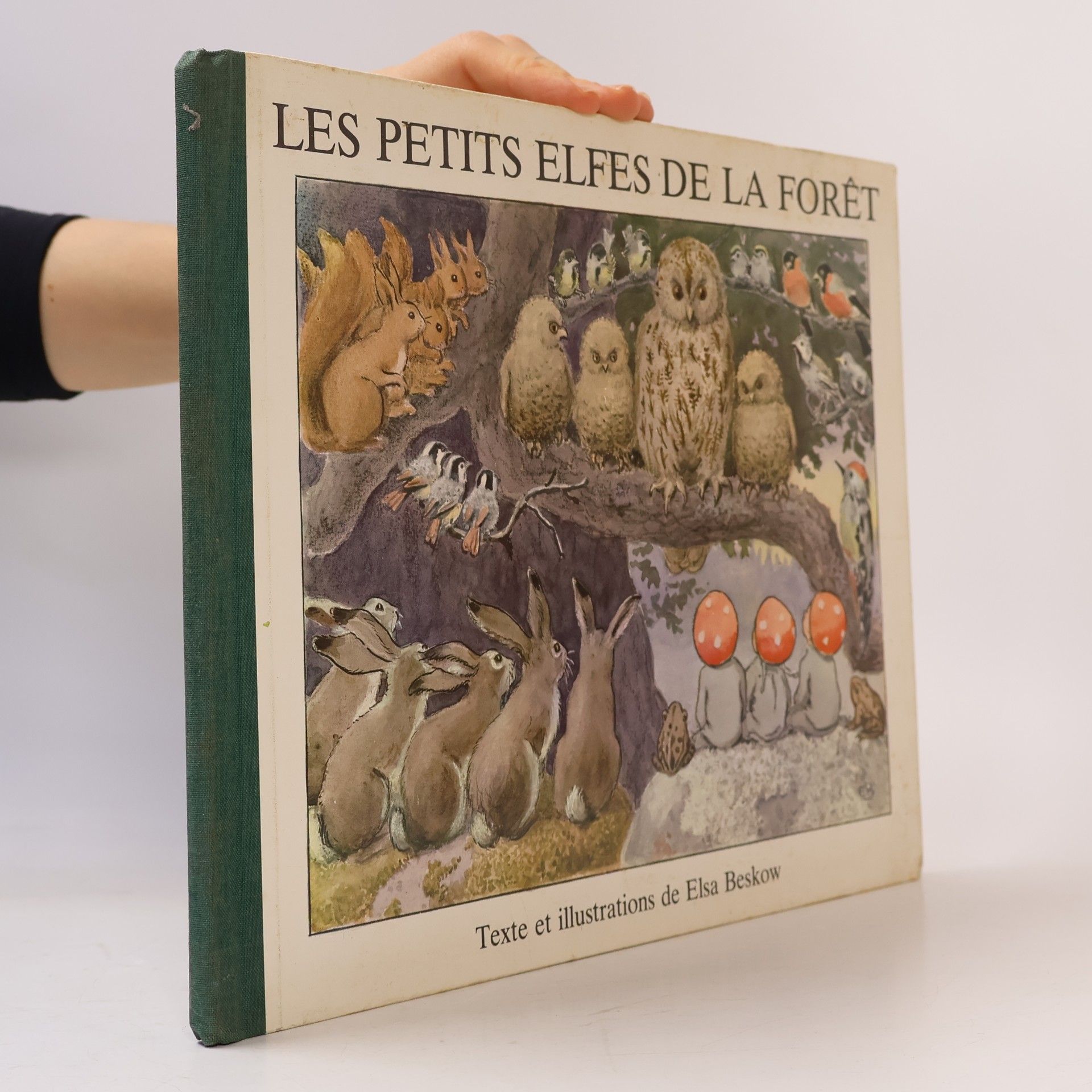 Les petits elfes de la forêt