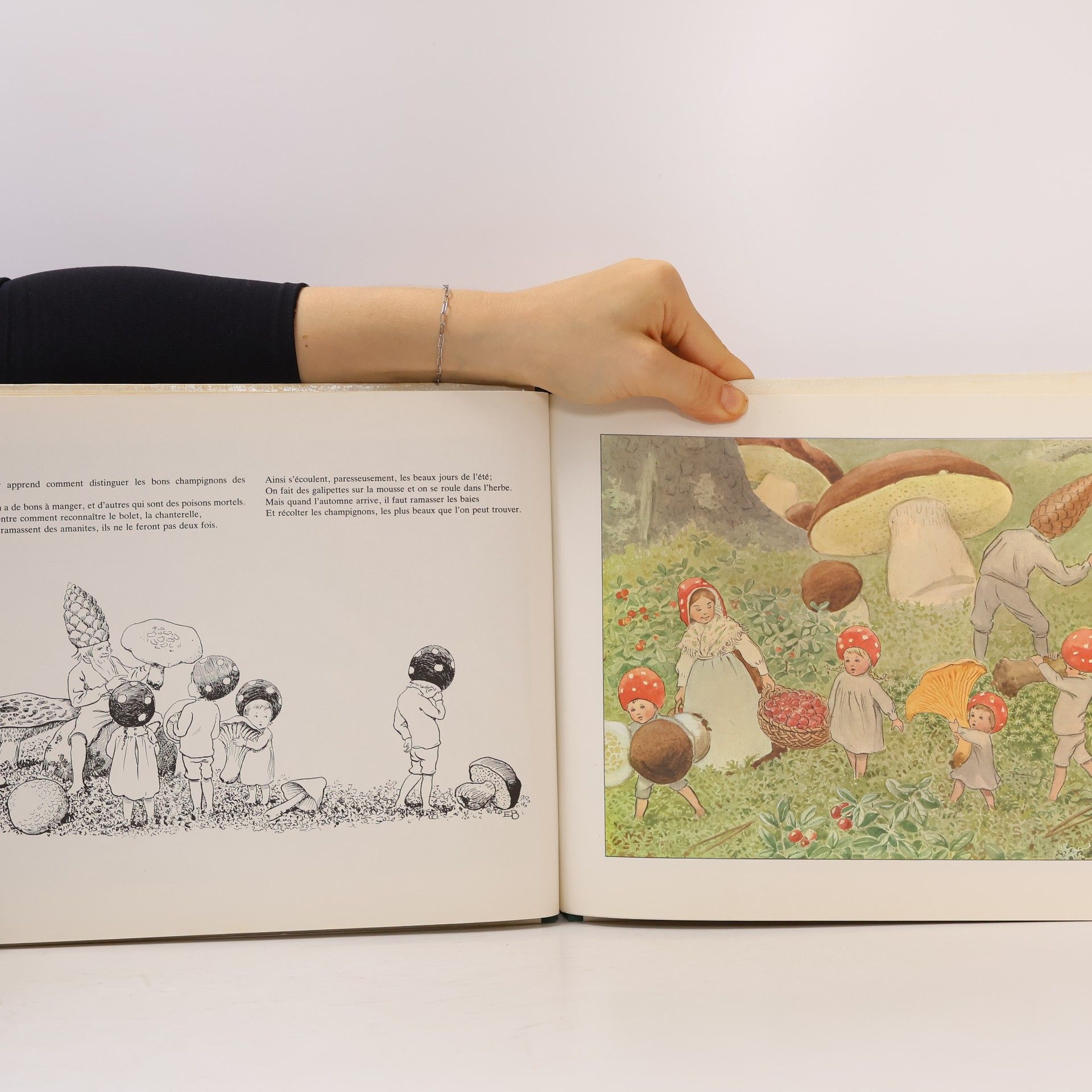 Elsa Beskow Les petits elfes de la forêt