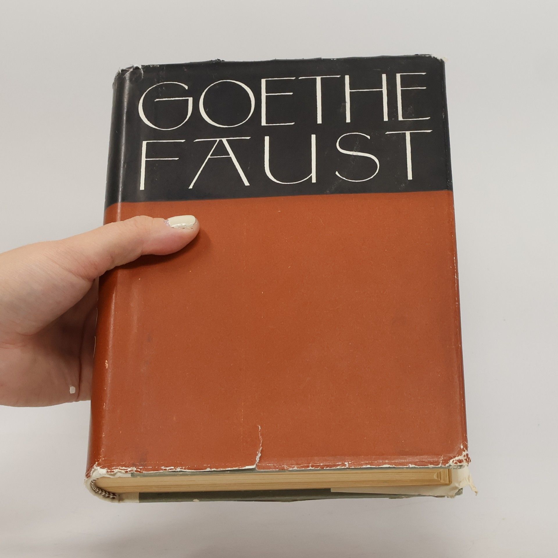 Goethe FAUST