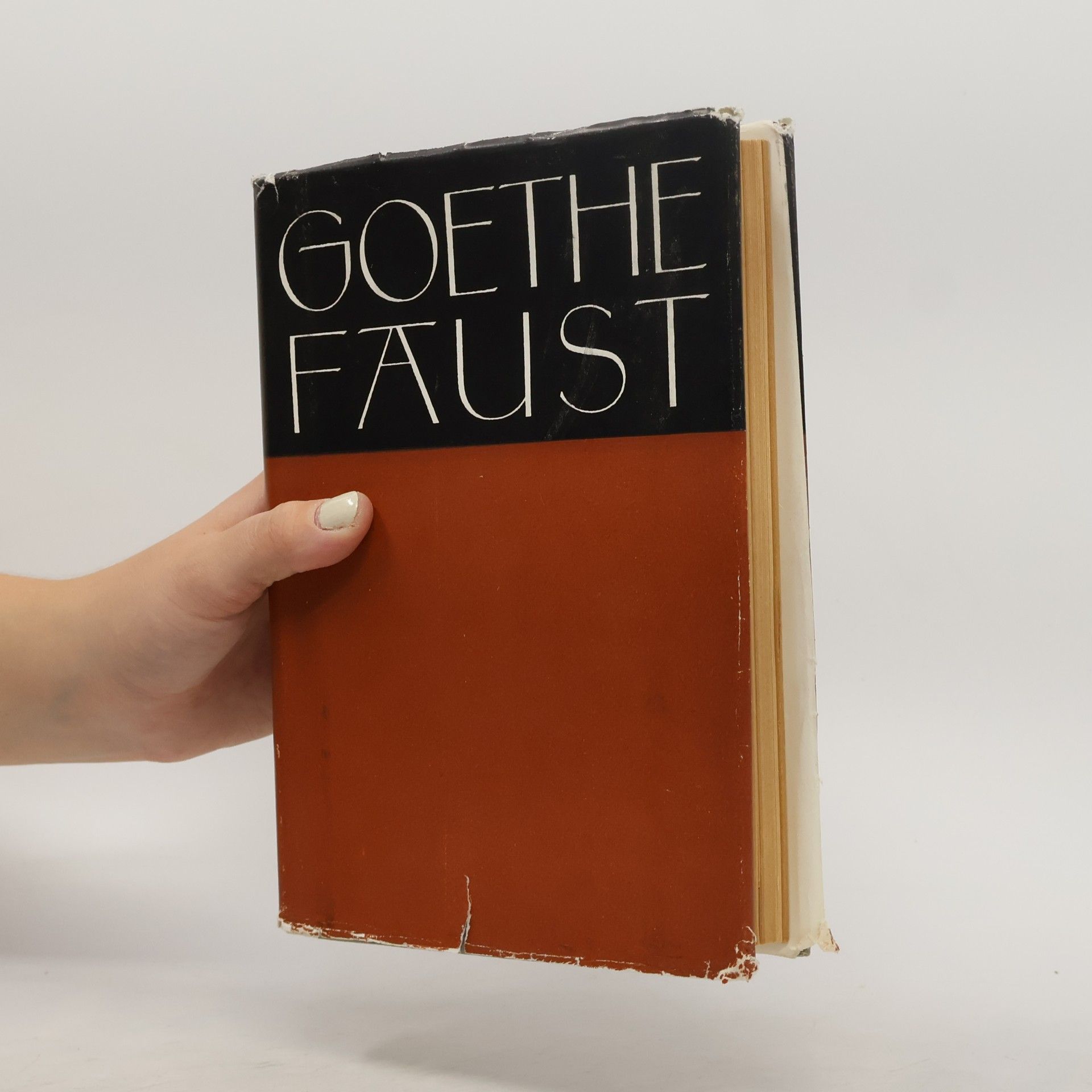 Goethe FAUST