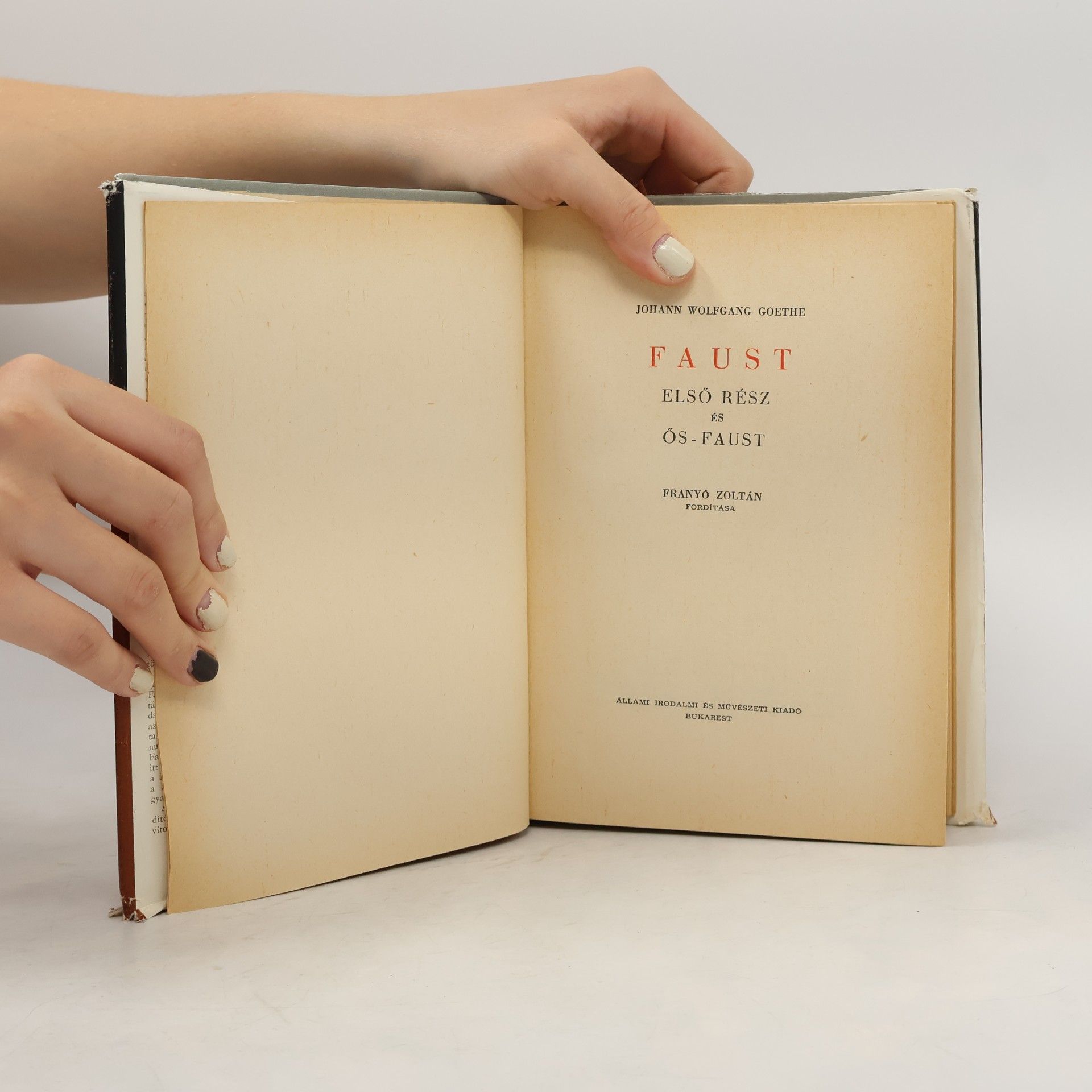Goethe FAUST