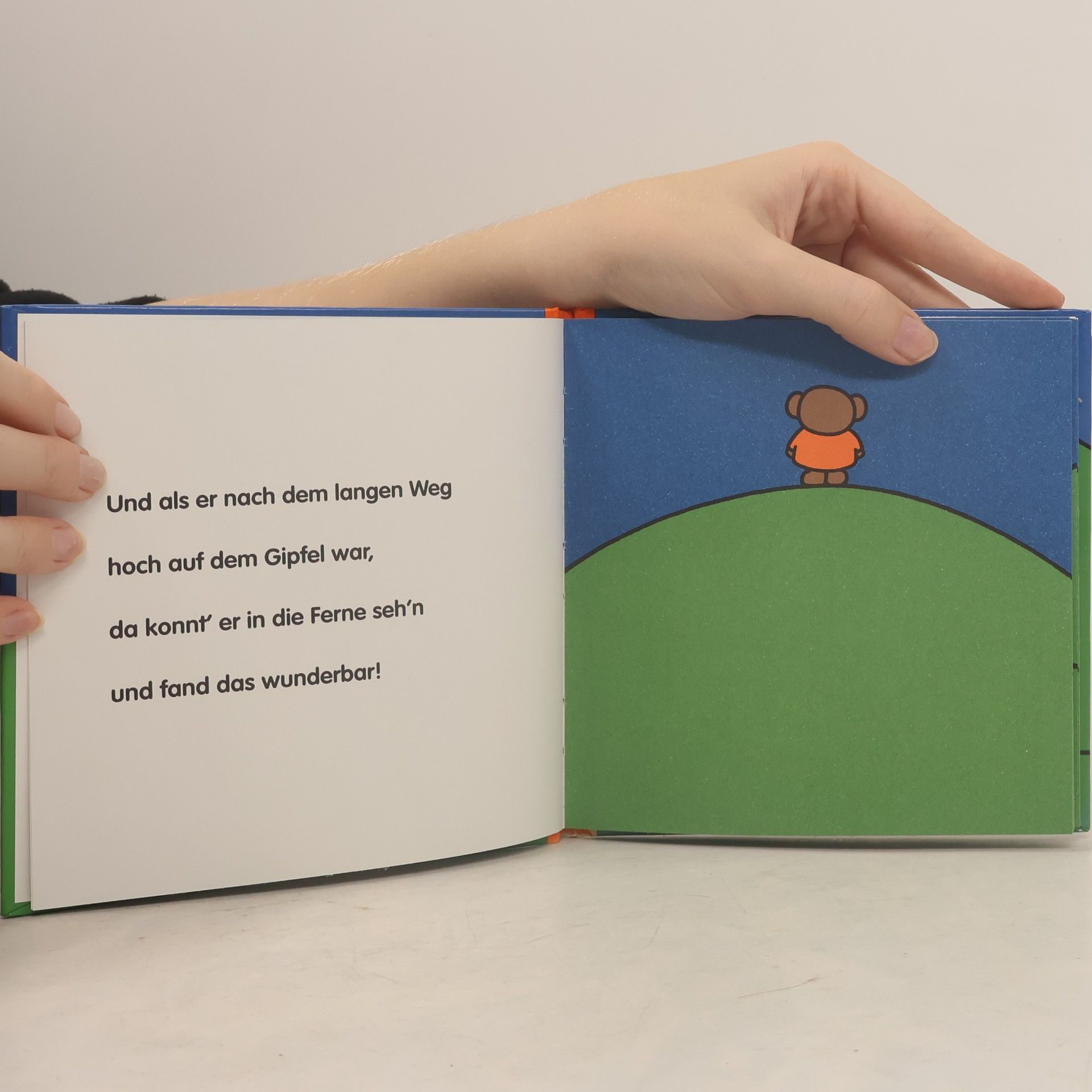 Dick Bruna Boris auf dem Berg