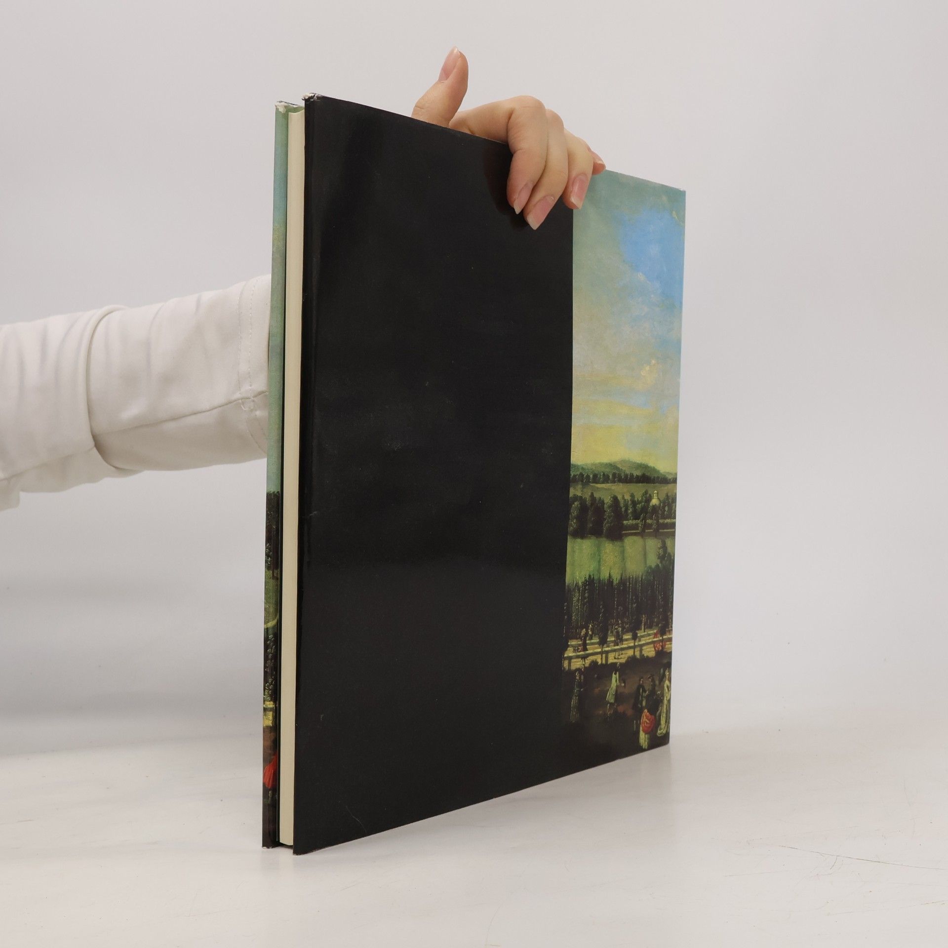 Collectif d'auteurs Potsdamer Schlösser in Geschichte und Kunst
