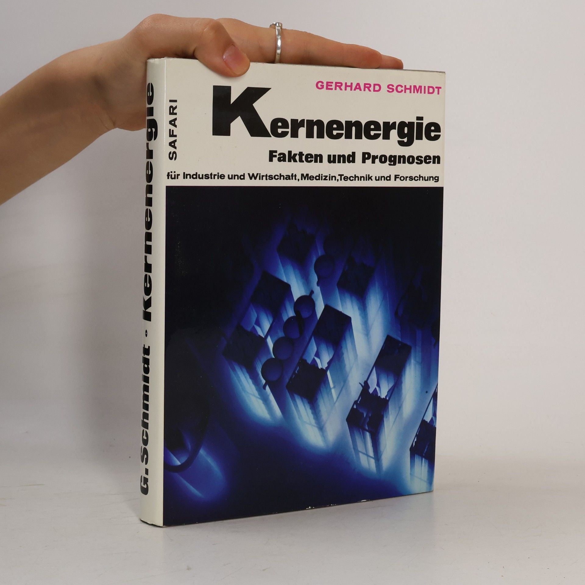 Gerhard Schmidt Kernenergie