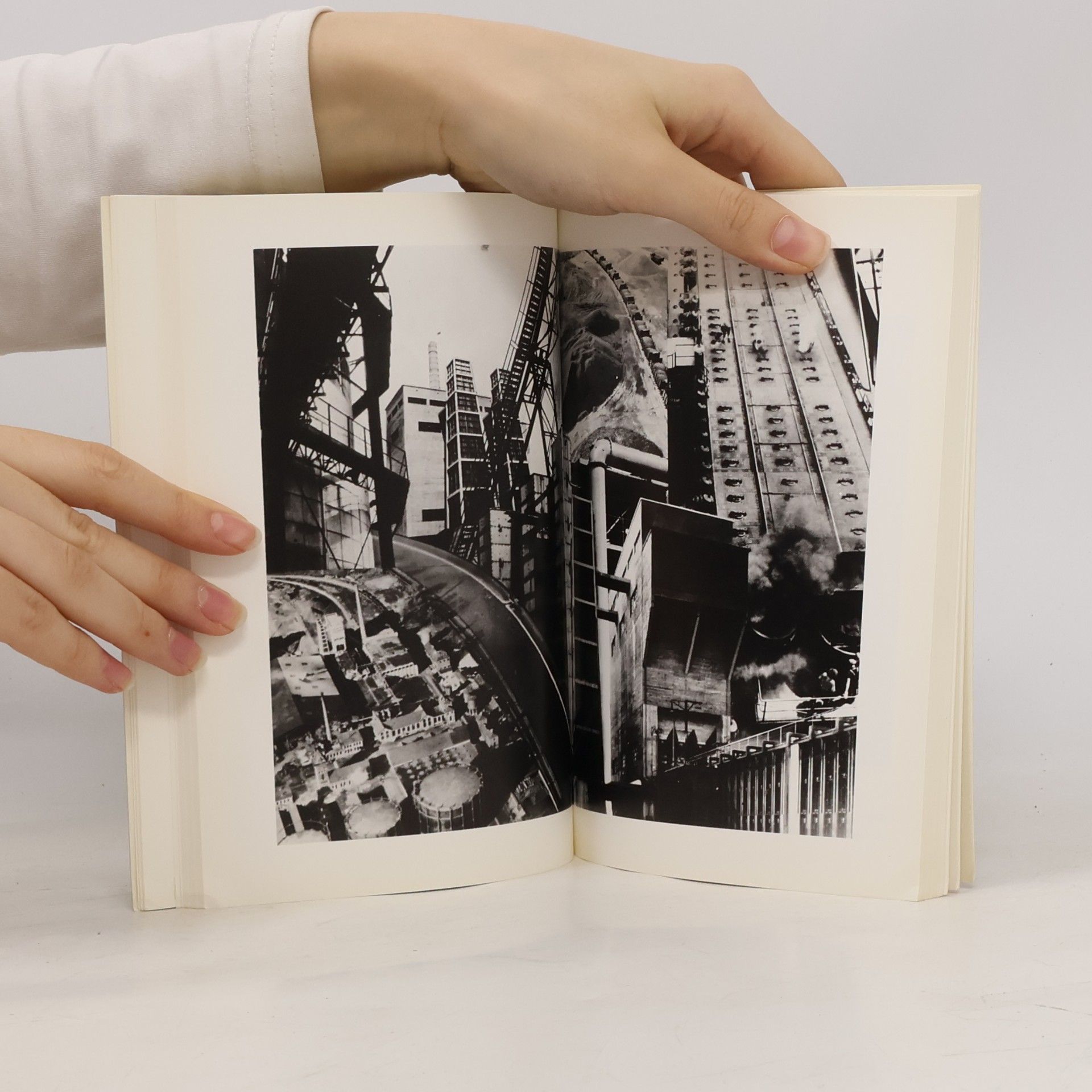 Michel Frizot Photo Poche - 31: Photomontages