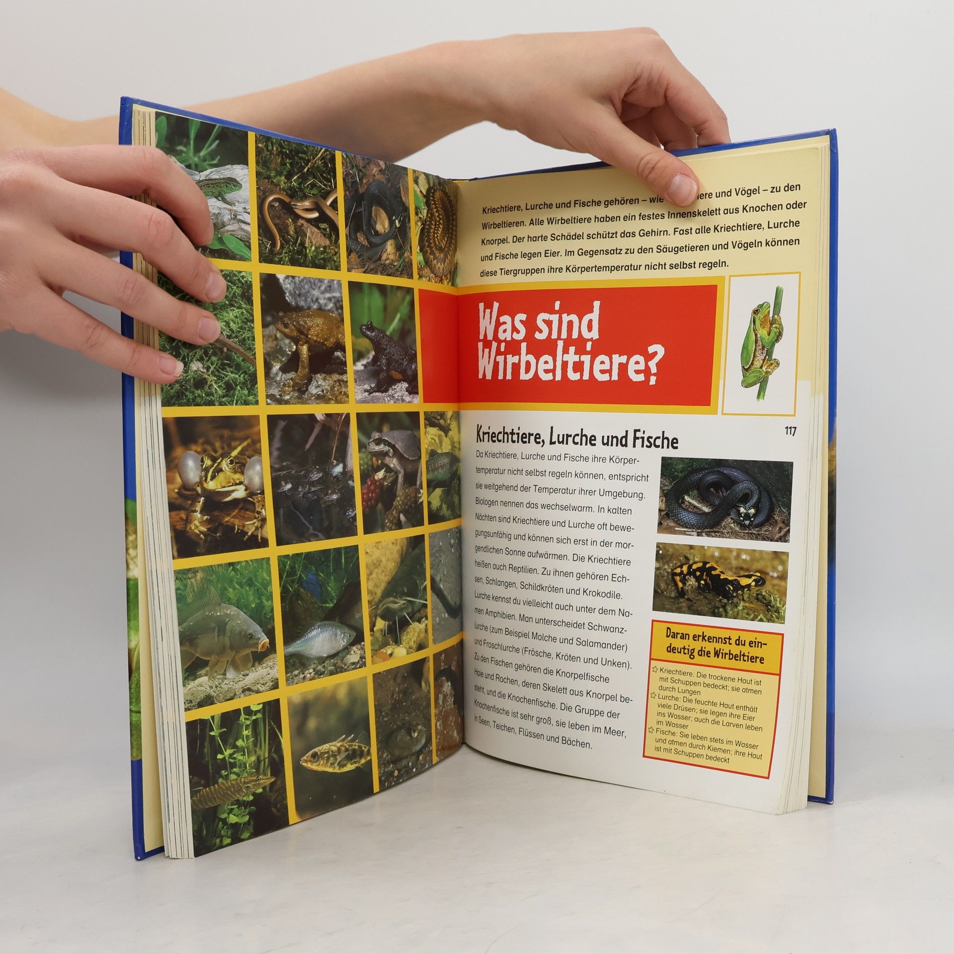 Bärbel Oftring Mein Kosmos-Buch Natur
