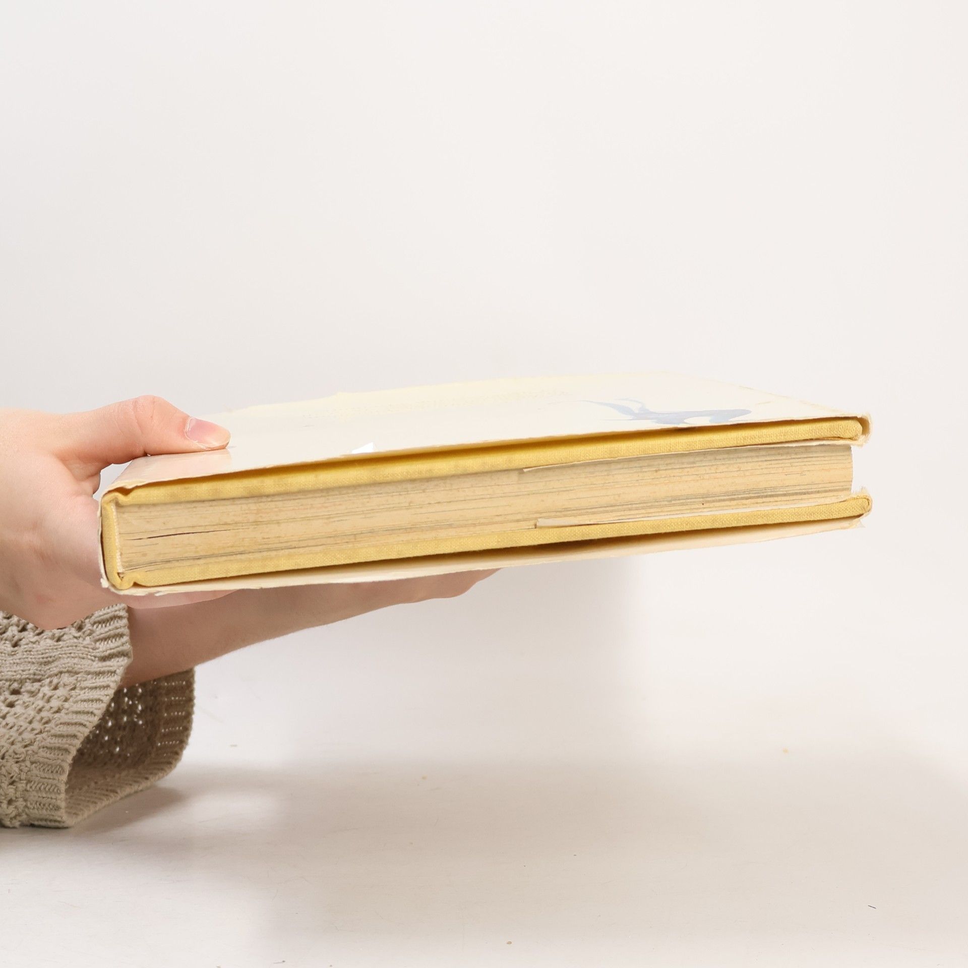 Autores varios Animal Folk Tales