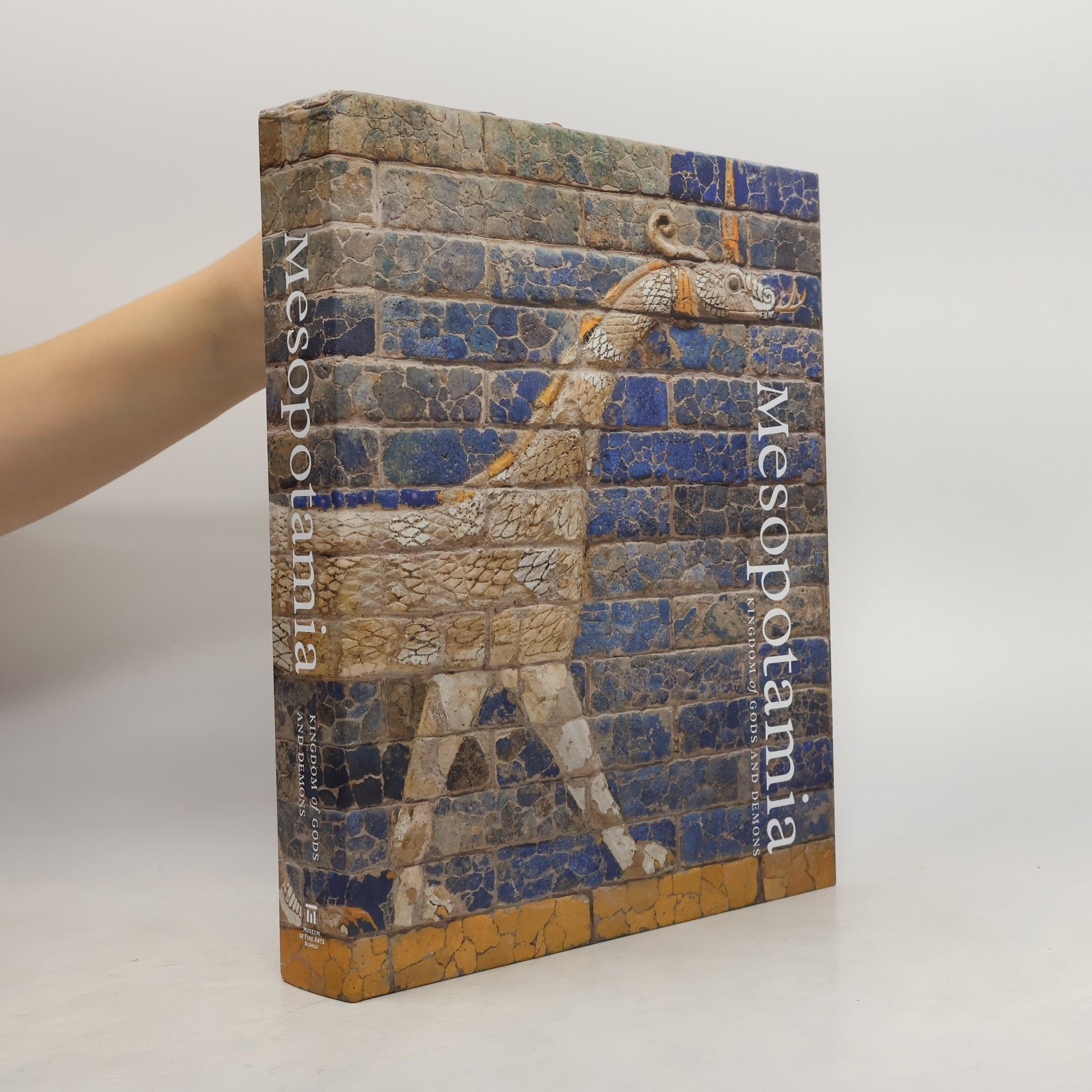 Auteurscollectief Mesopotamia