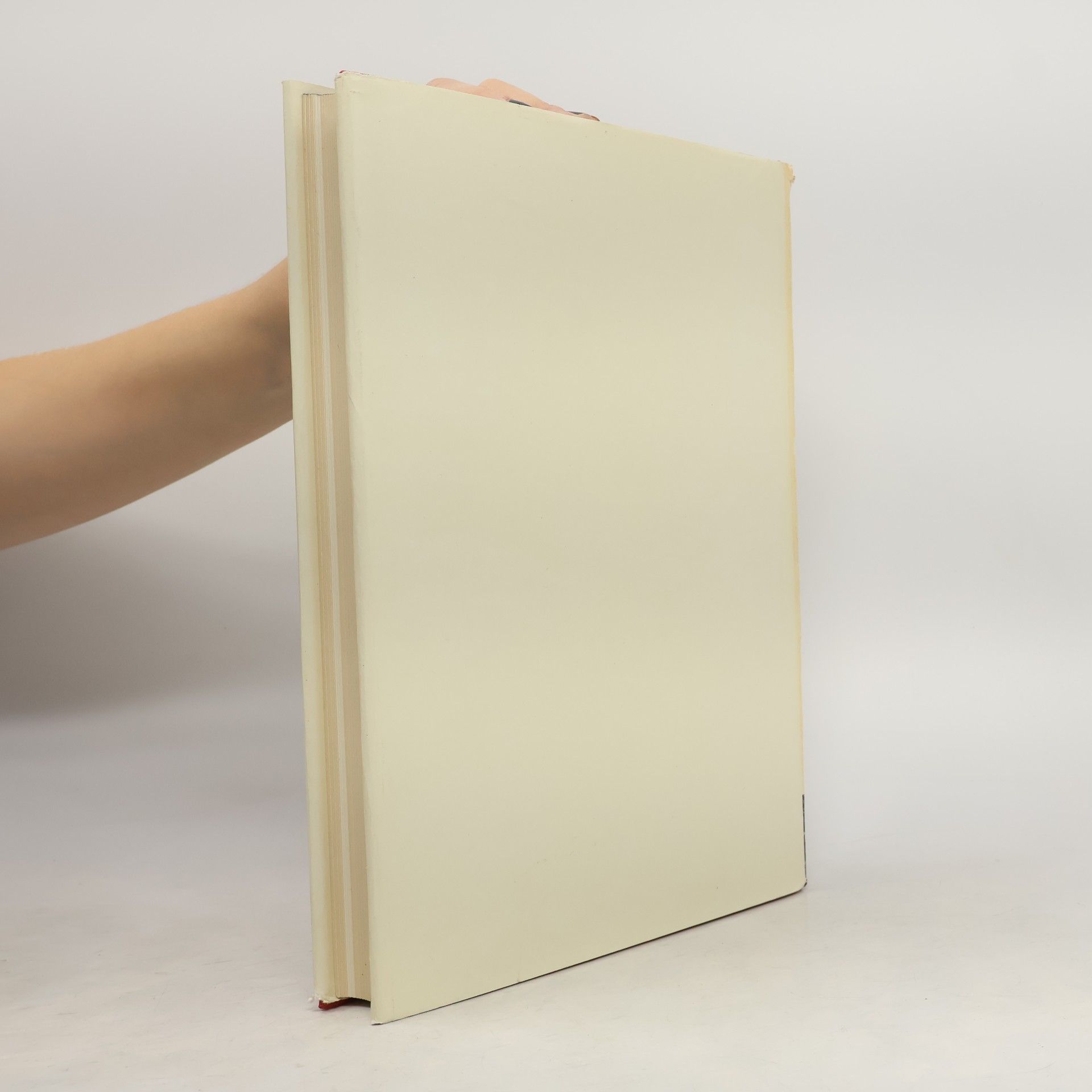 Auteurscollectief Gothic Mural Painting in Bohemia and Moravia 1300–1378